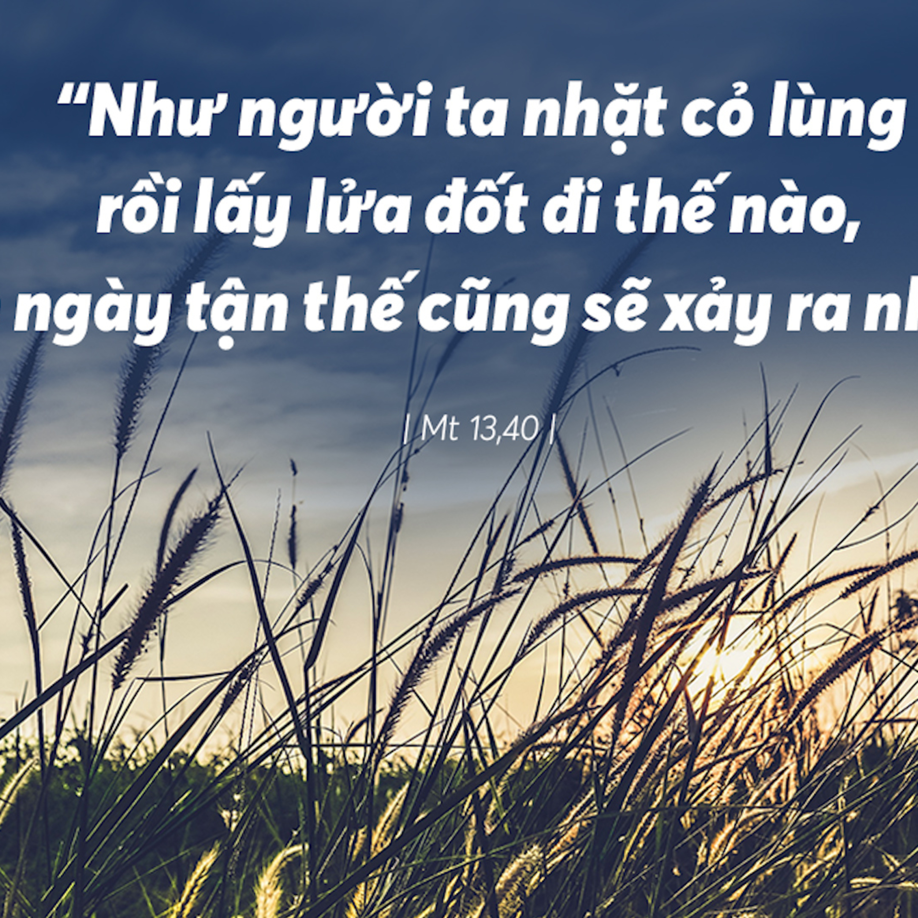 Manna: Chói lọi như mặt trời (Thứ Ba Tuần 17 Thường niên, Mt 13, 36-43) episode artwork