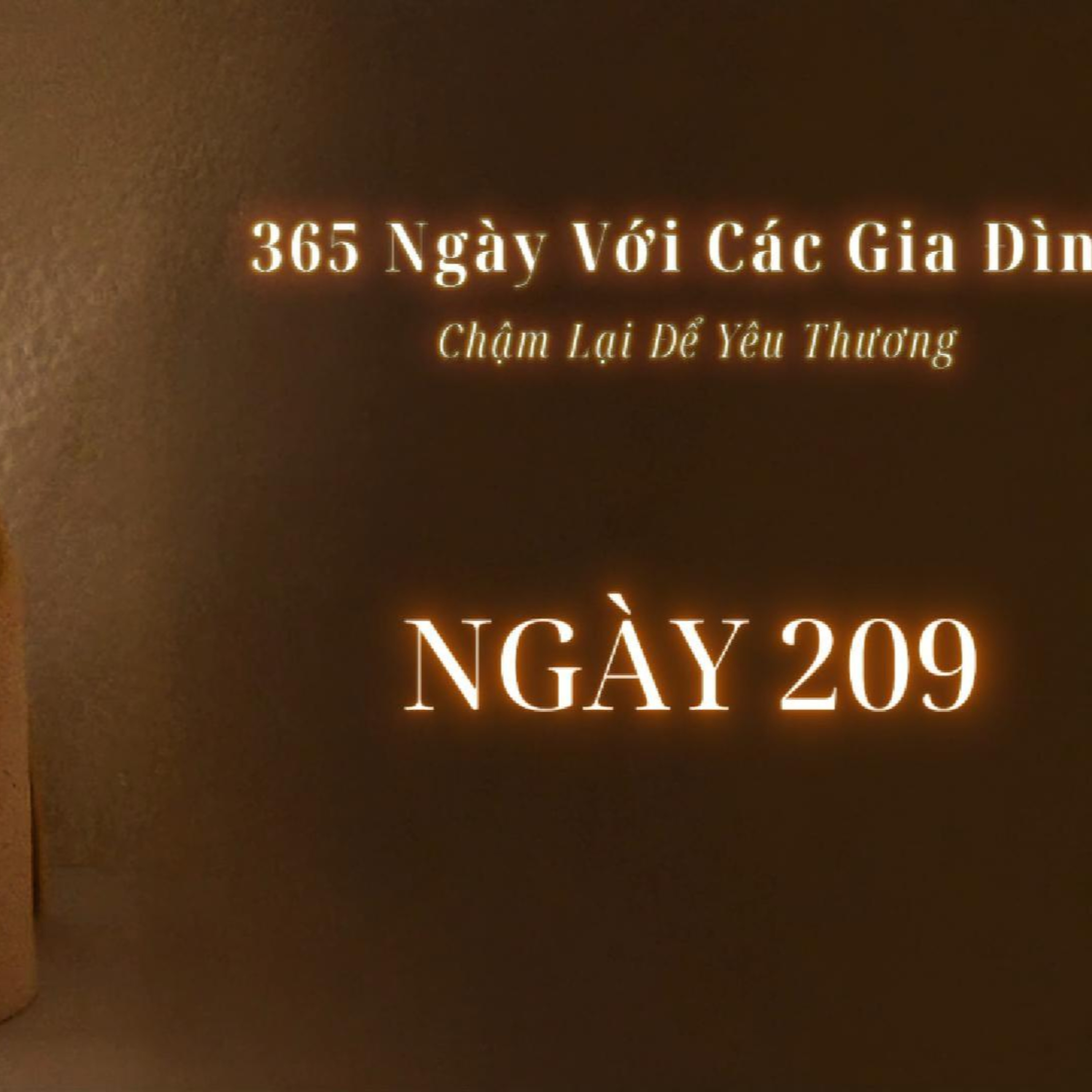 Ngày 209 | 365 NGÀY VỚI CÁC GIA ĐÌNH episode artwork