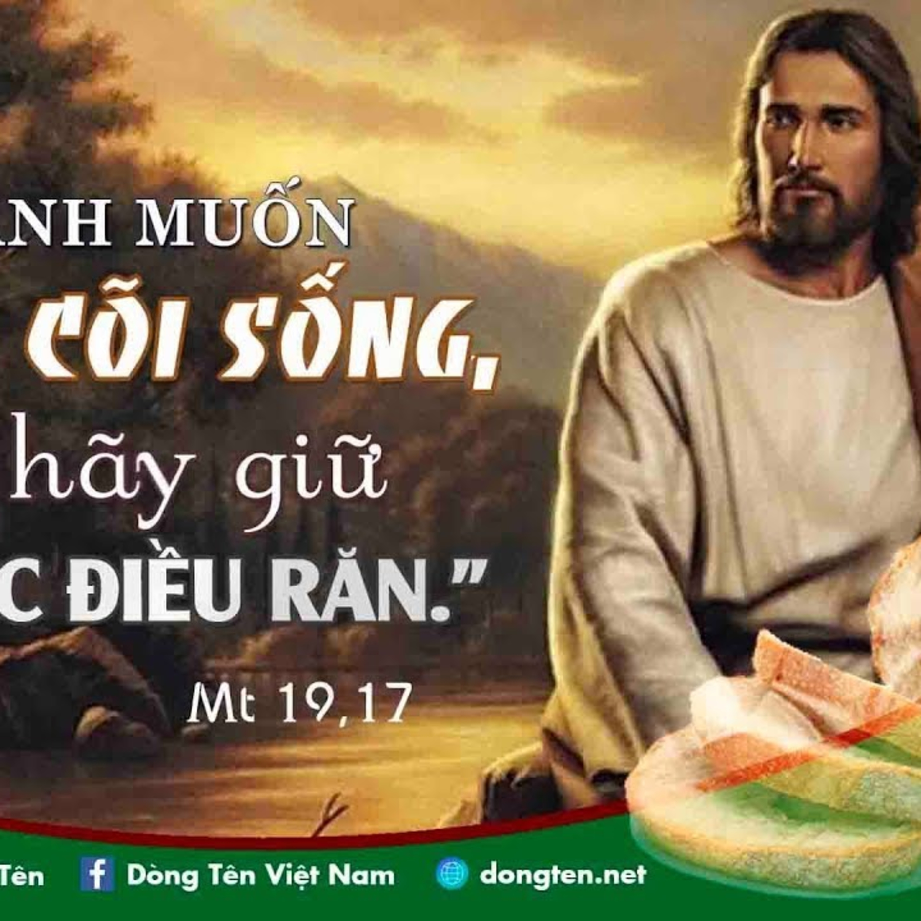 Manna: Tôi còn thiếu điều gì? (Thứ Hai Tuần 20 Thường niên - Mt 19,16-22) episode artwork