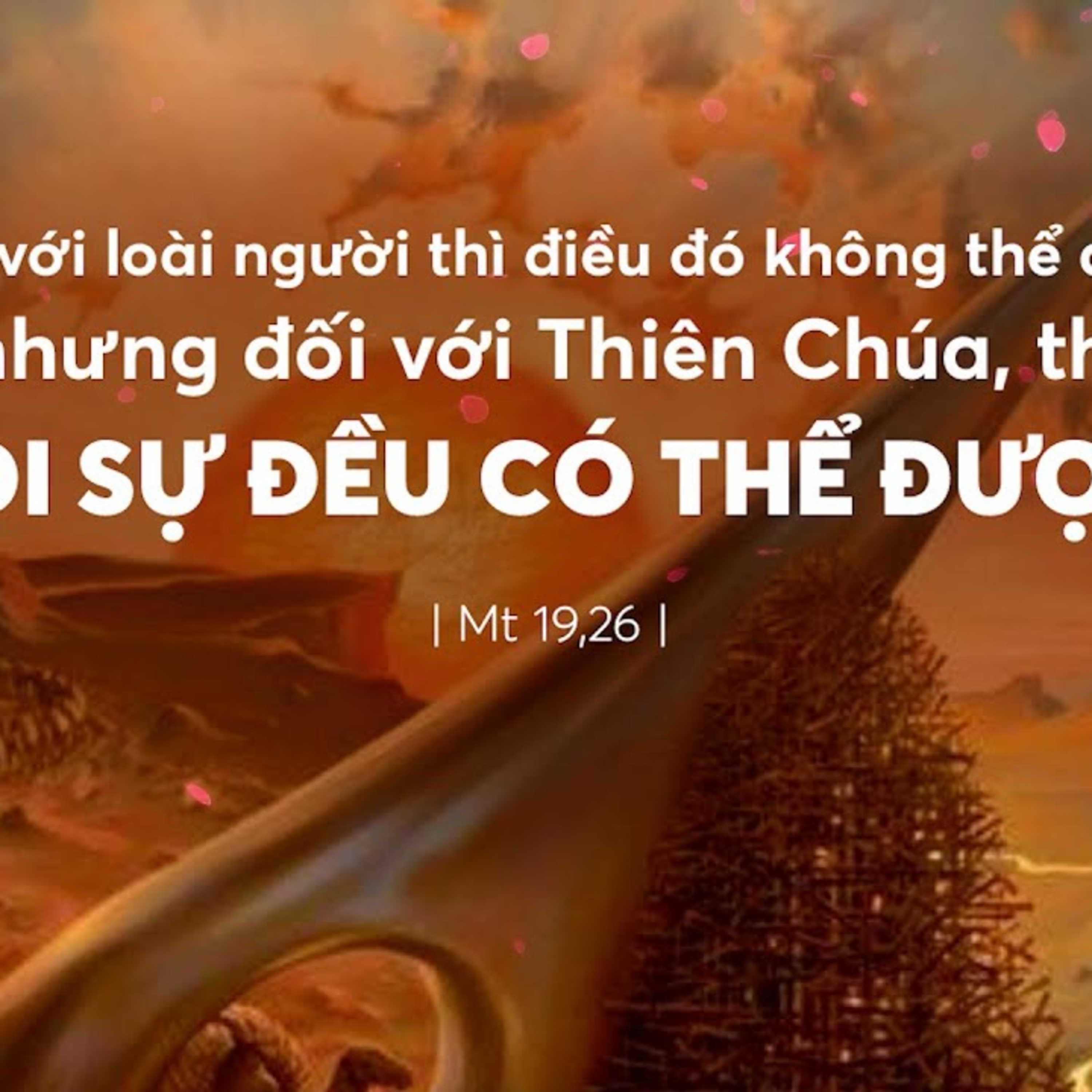 Manna: Lạc đà qua lỗ kim (Thứ Ba Tuần 20 TN- Mt 19,23-30) episode artwork