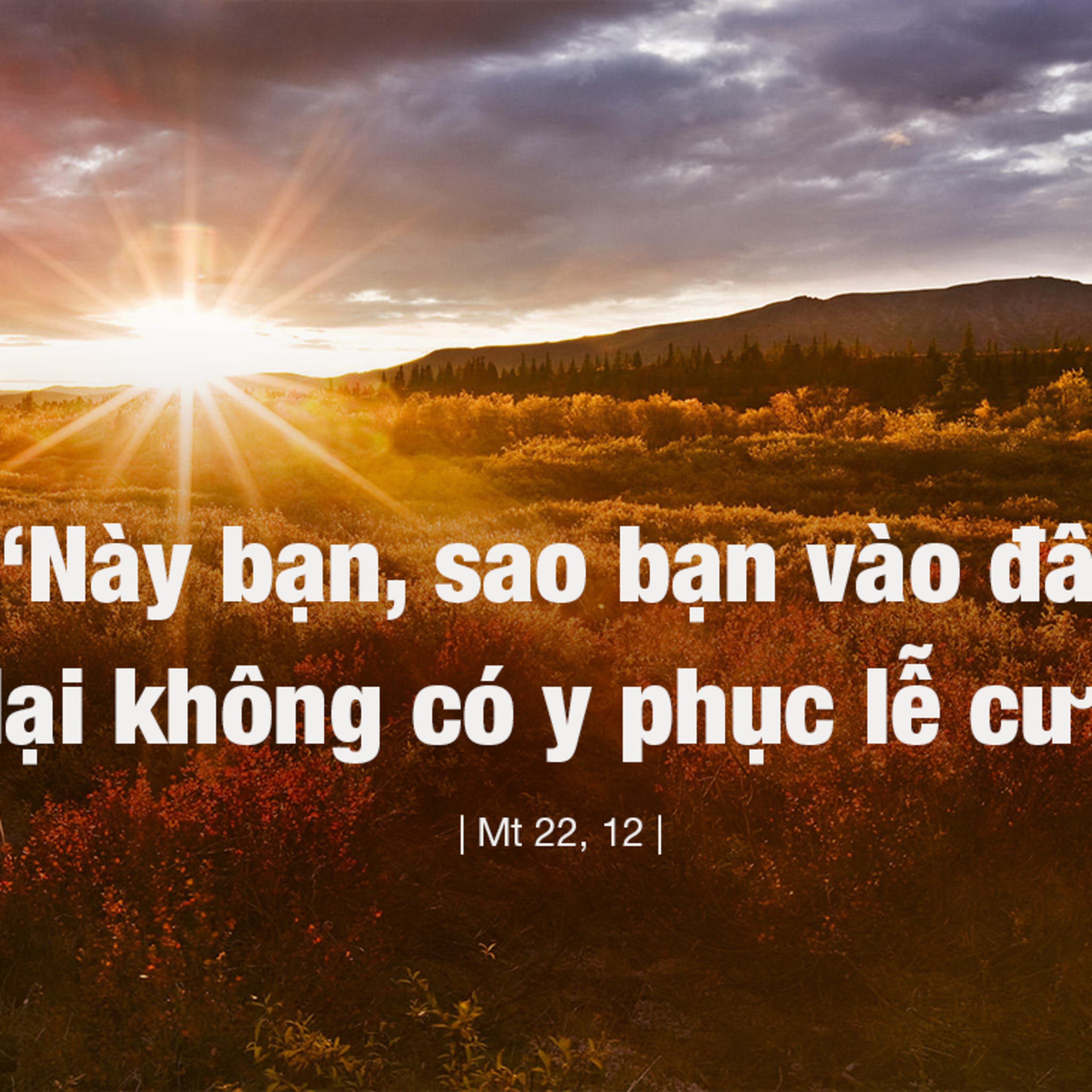 Manna: Tiệc cưới đã sẵn sàng (Thứ Năm Tuần 20 TN- Mt 21,1-14) episode artwork