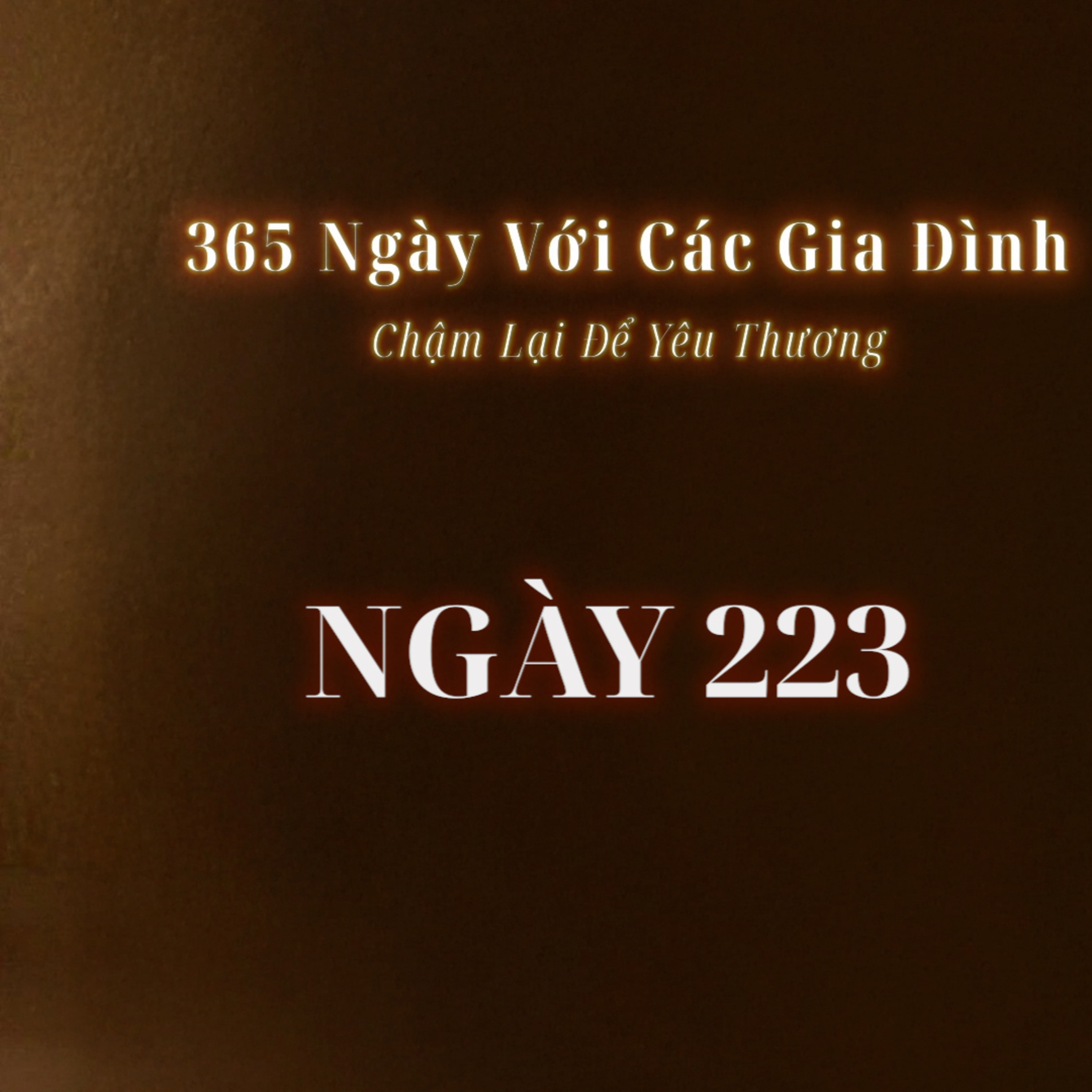 Ngày 223 | 365 NGÀY VỚI CÁC GIA ĐÌNH
