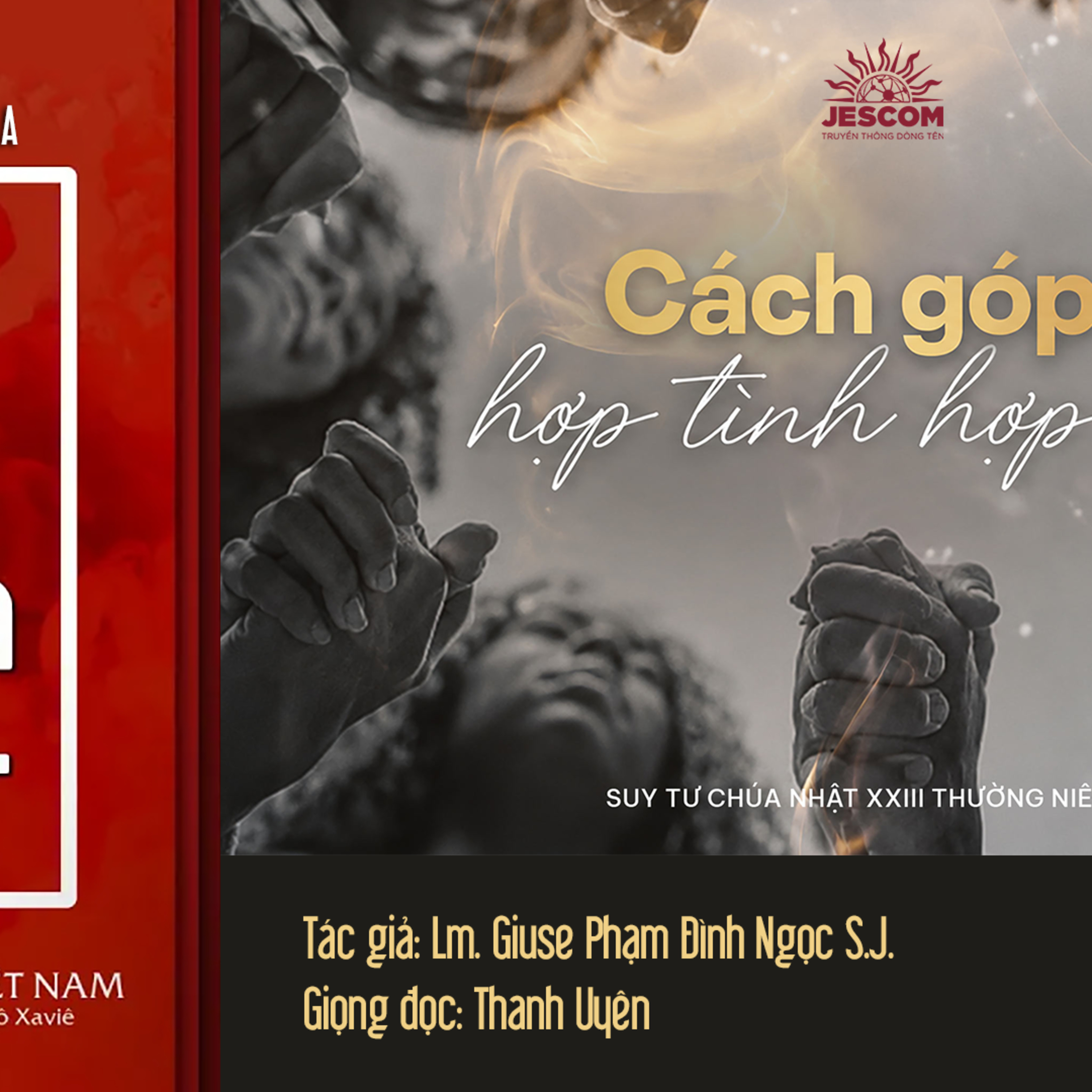 Cách góp ý hợp tình hợp đức | Suy Tư Chúa Nhật CN23TNA