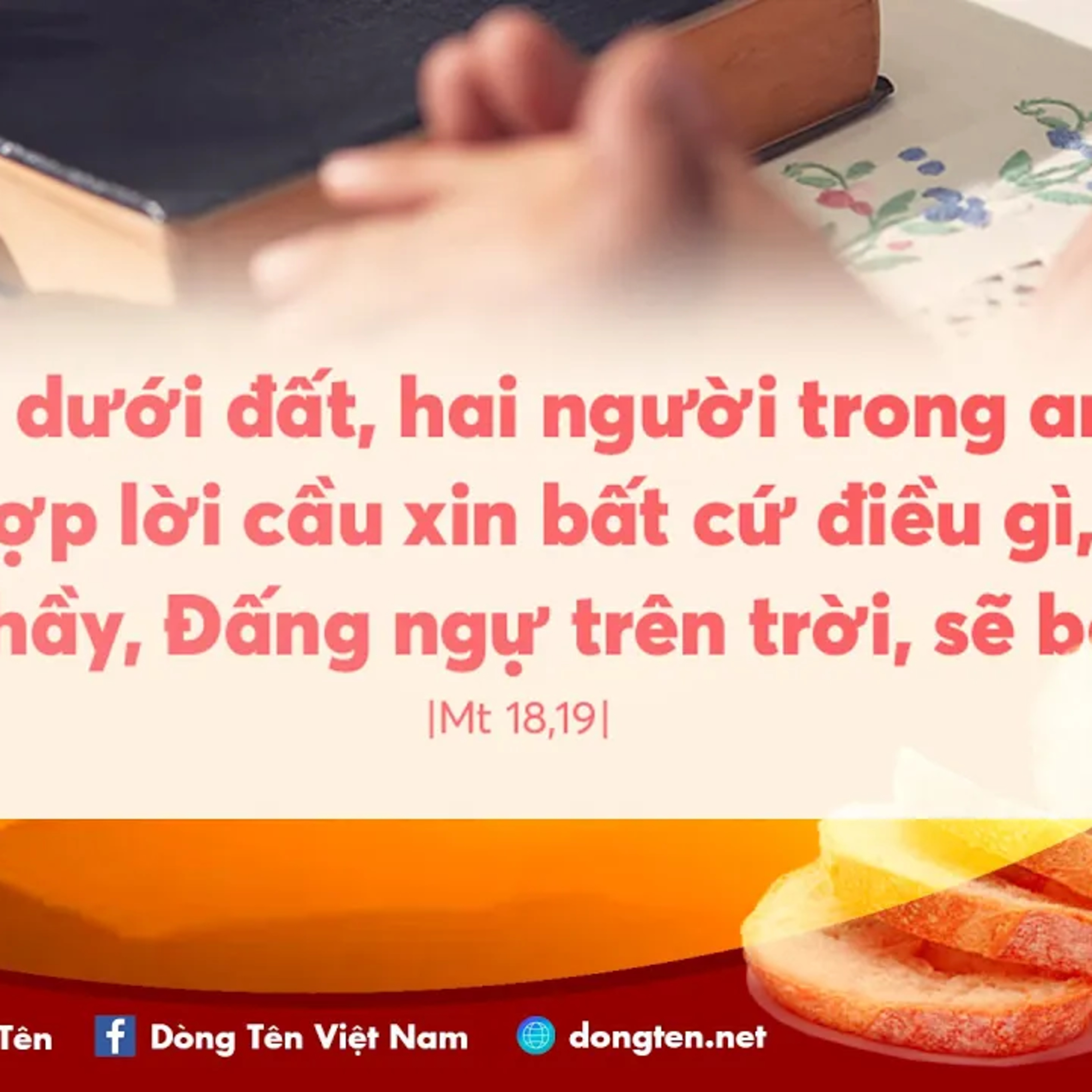 Manna: Người anh em của anh (Chúa nhật 23 thường niên năm A, Mt 18,15-20)