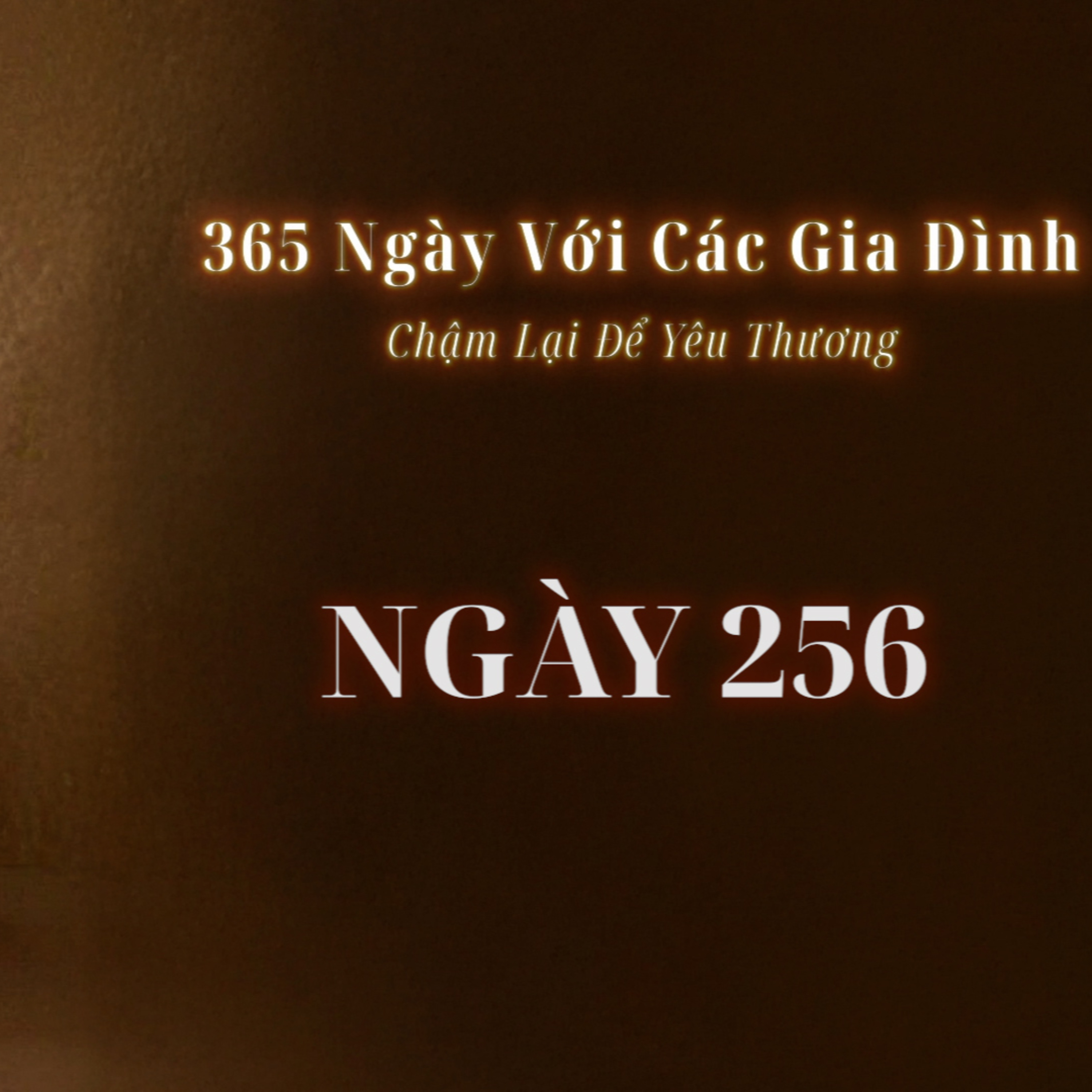 Ngày 256 | 365 NGÀY VỚI CÁC GIA ĐÌNH
