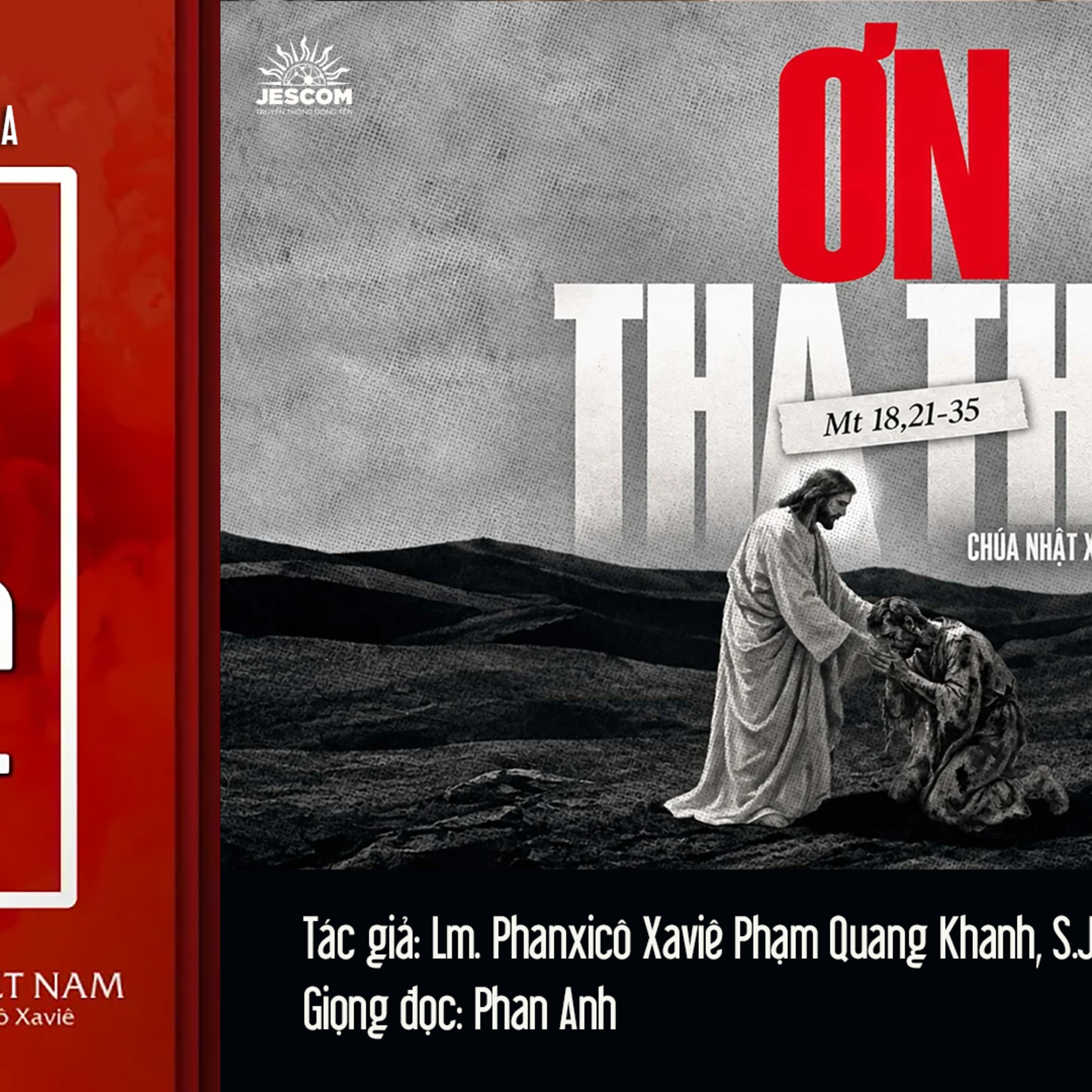 Ơn Tha Thứ | Suy tư Tin Mừng CN XXIV Thường Niên - Năm A