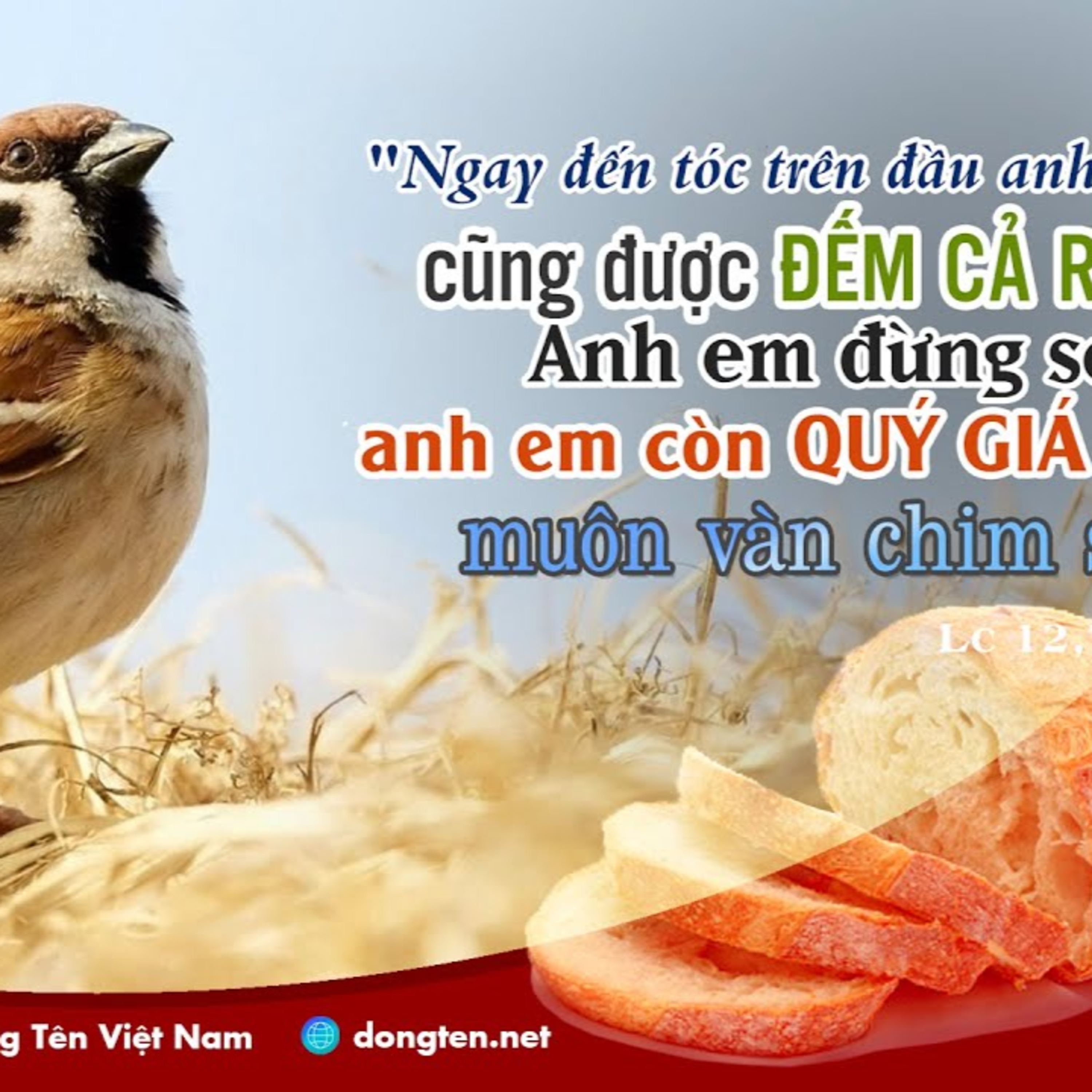 Manna: Môn đệ và Bạn hữu (Thứ Sáu Tuần 28 TN - Lc 12,1-7)