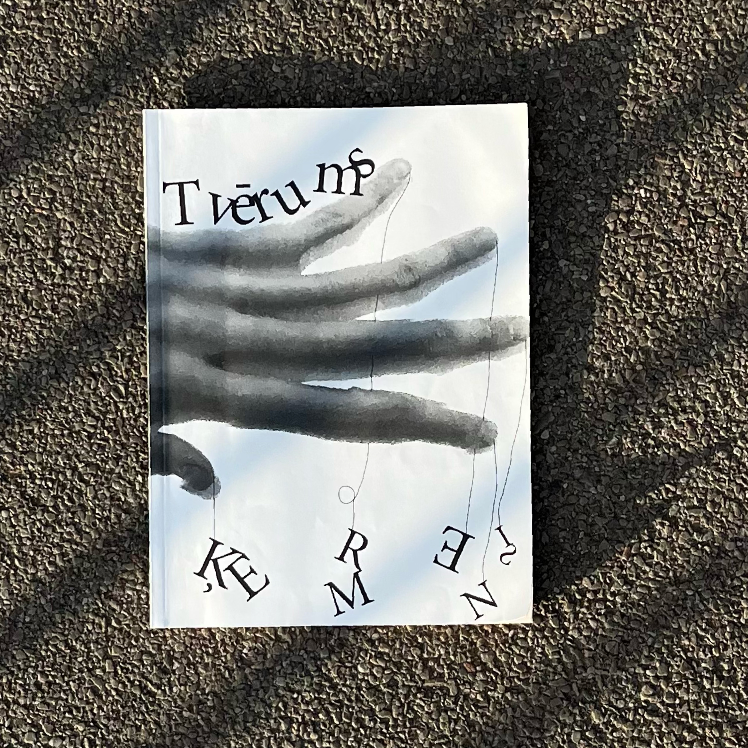 Iemājotā svešatne un pasaules atkalapburšana – Anne Sauka episode artwork