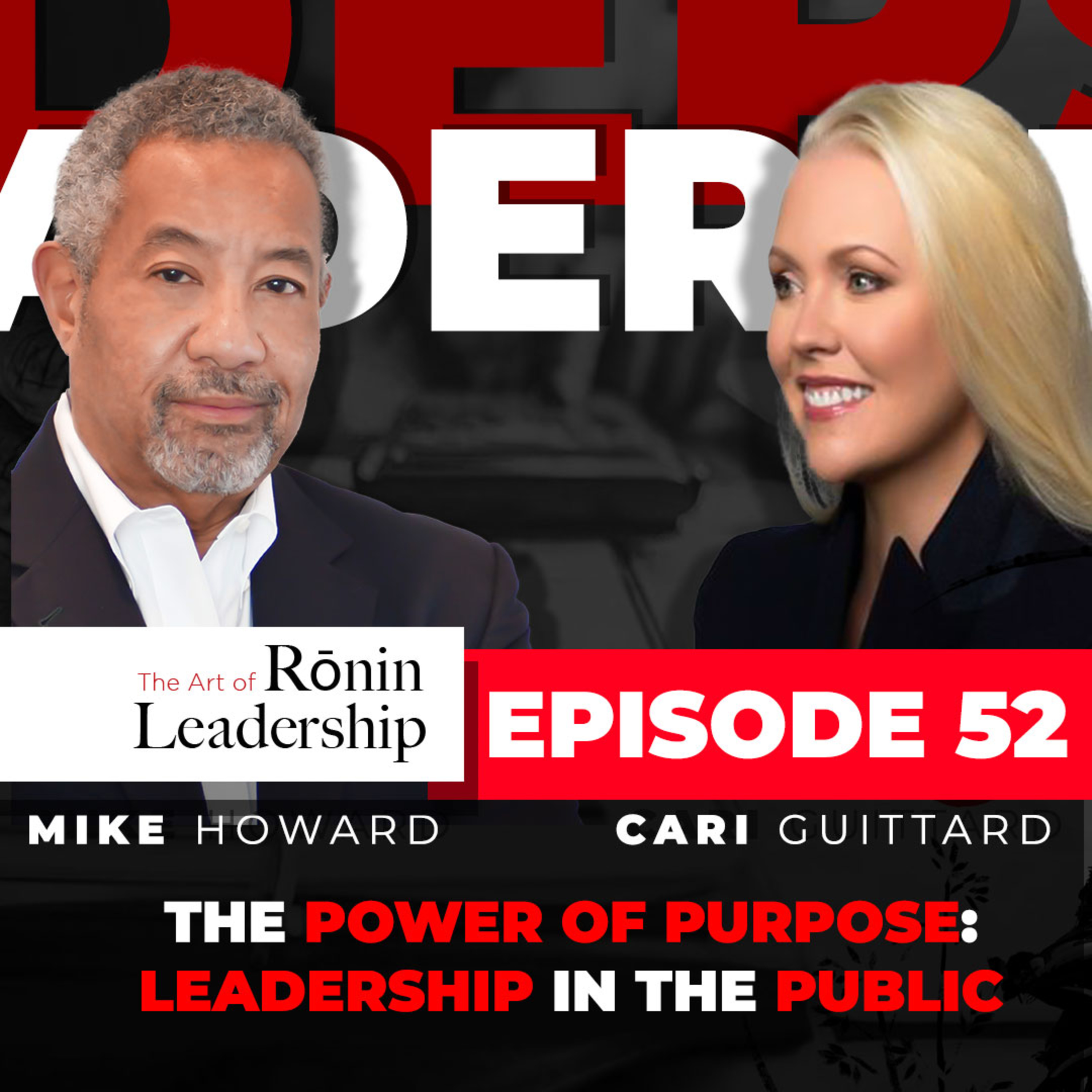 THE POWER OF PURPOSE: LEADERSHIP IN THE PUBLIC VS PRIVATE SECTOR.  episode artwork
