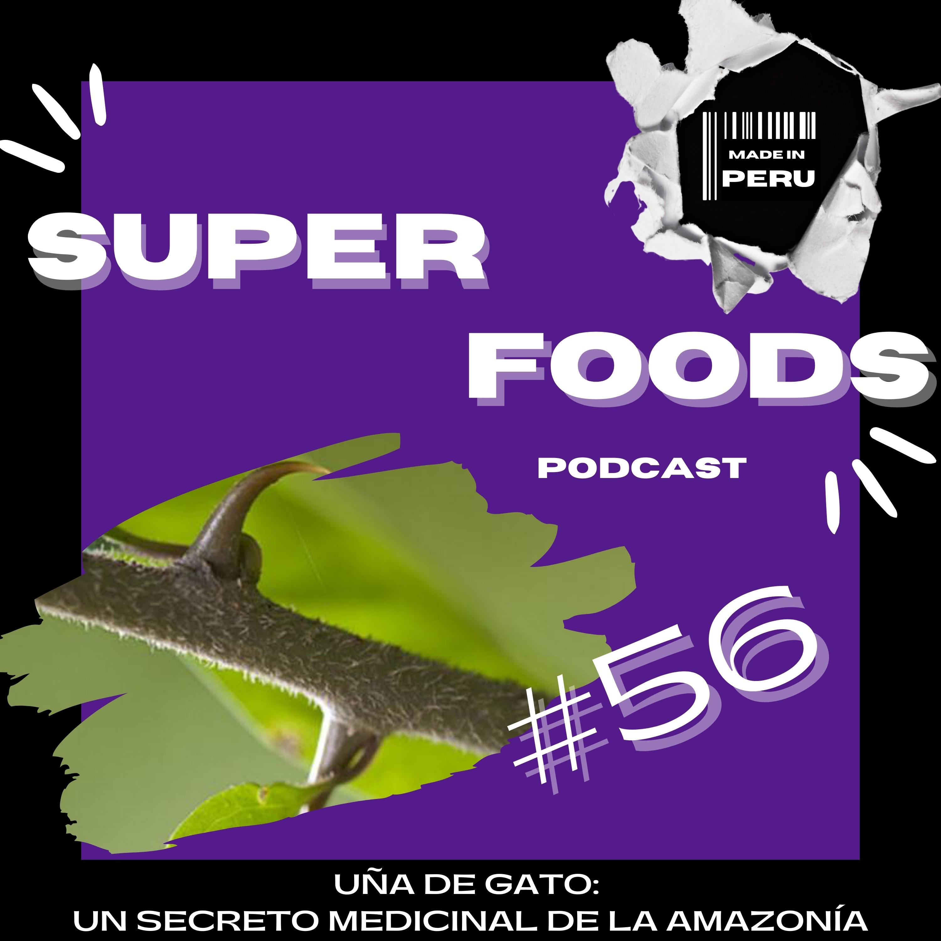 #56 🌿UÑA DE GATO🐾 | ¿SECRETO MEDICINAL🔮 DEL AMAZONAS? ¡ANTICANCERÍGENO! episode artwork