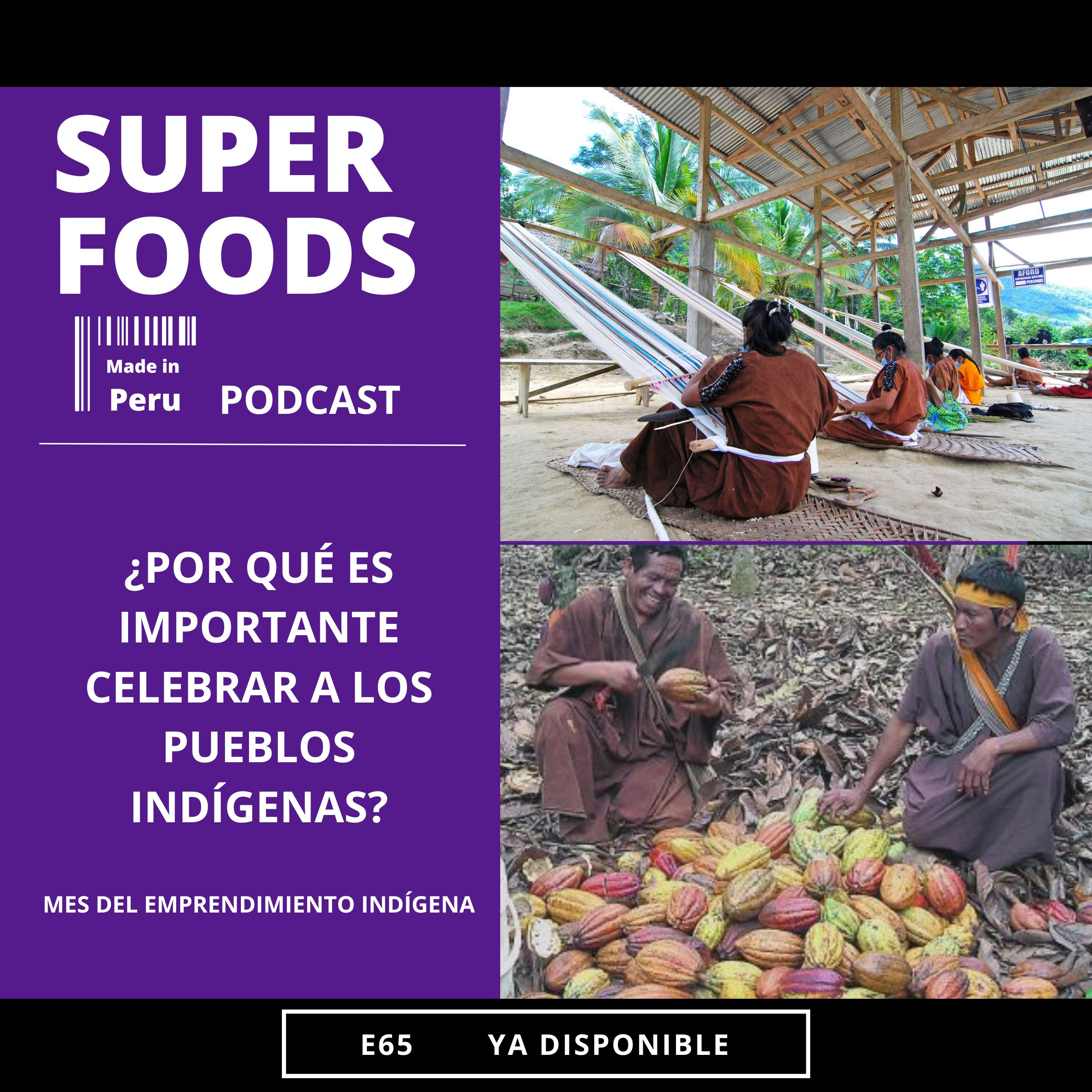 E65. ¿POR QUÉ ES IMPORTANTE CELEBRAR A LOS PUEBLOS INDÍGENAS? episode artwork