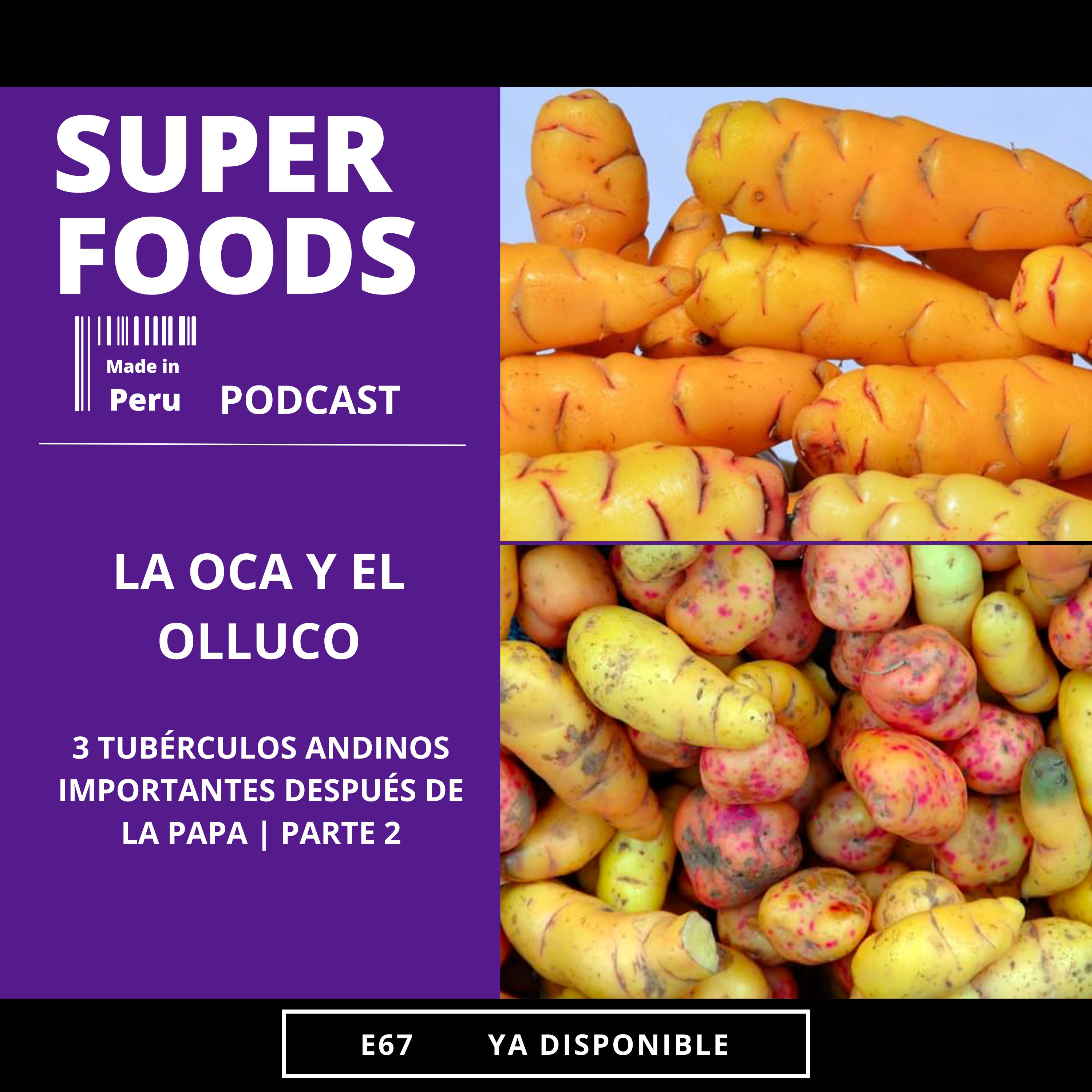 E67. ¿QUÉ SON LA OCA Y EL OLLUCO? | TUBÉRCULOS ANDINOS IMPORTANTES DESPUÉS DE LA PAPA episode artwork