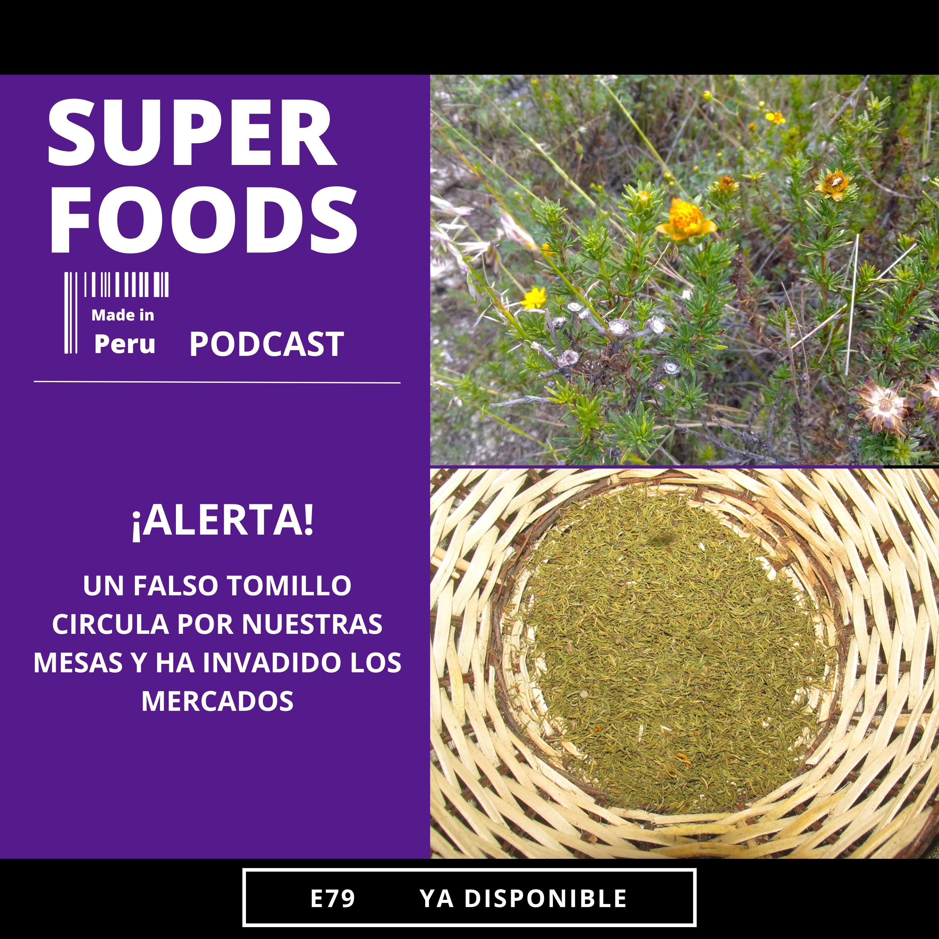 E70. ¡ALERTA! UN FALSO TOMILLO CIRCULA POR NUESTRAS MESAS episode artwork