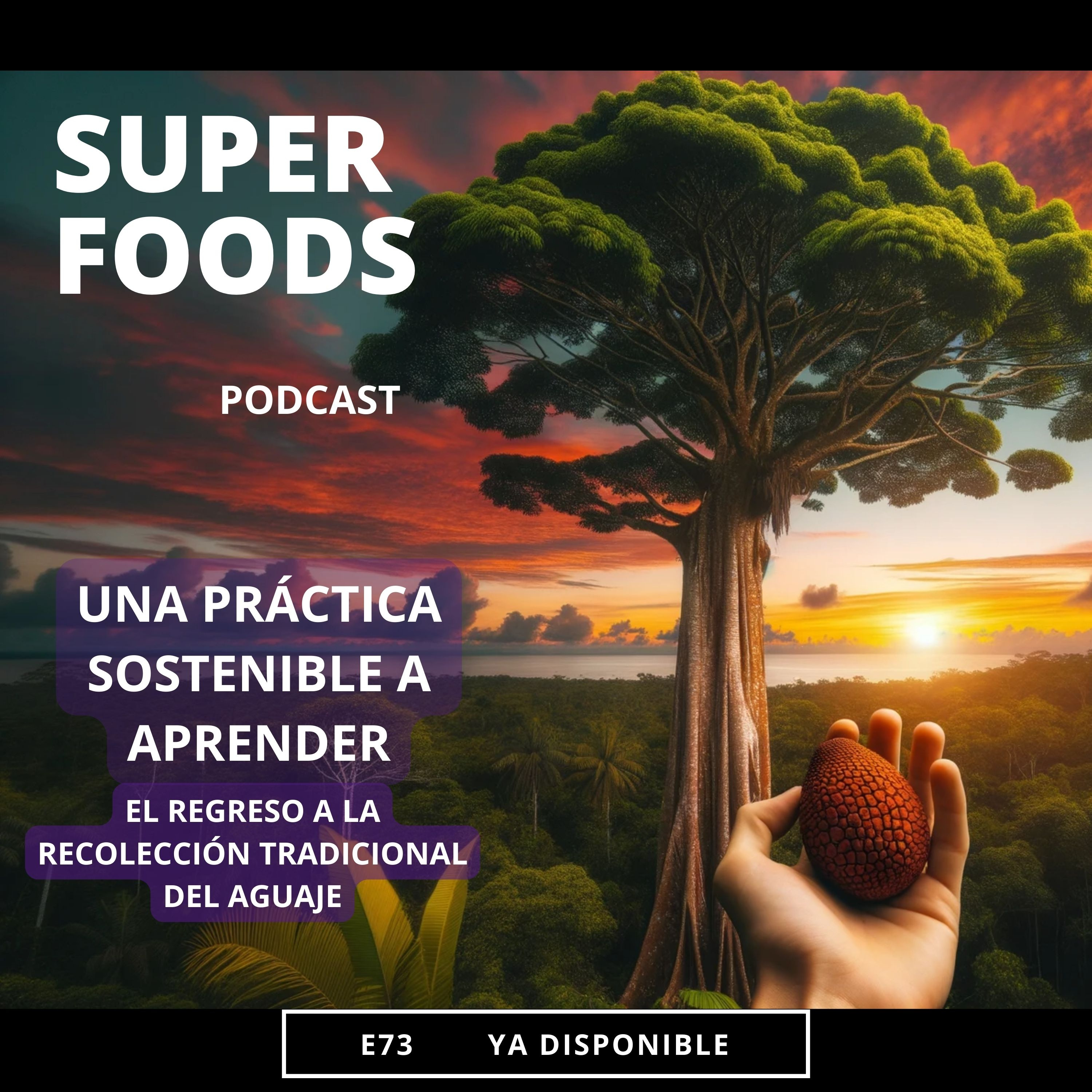 E73. El aguaje es una herramienta contra la deforestación episode artwork