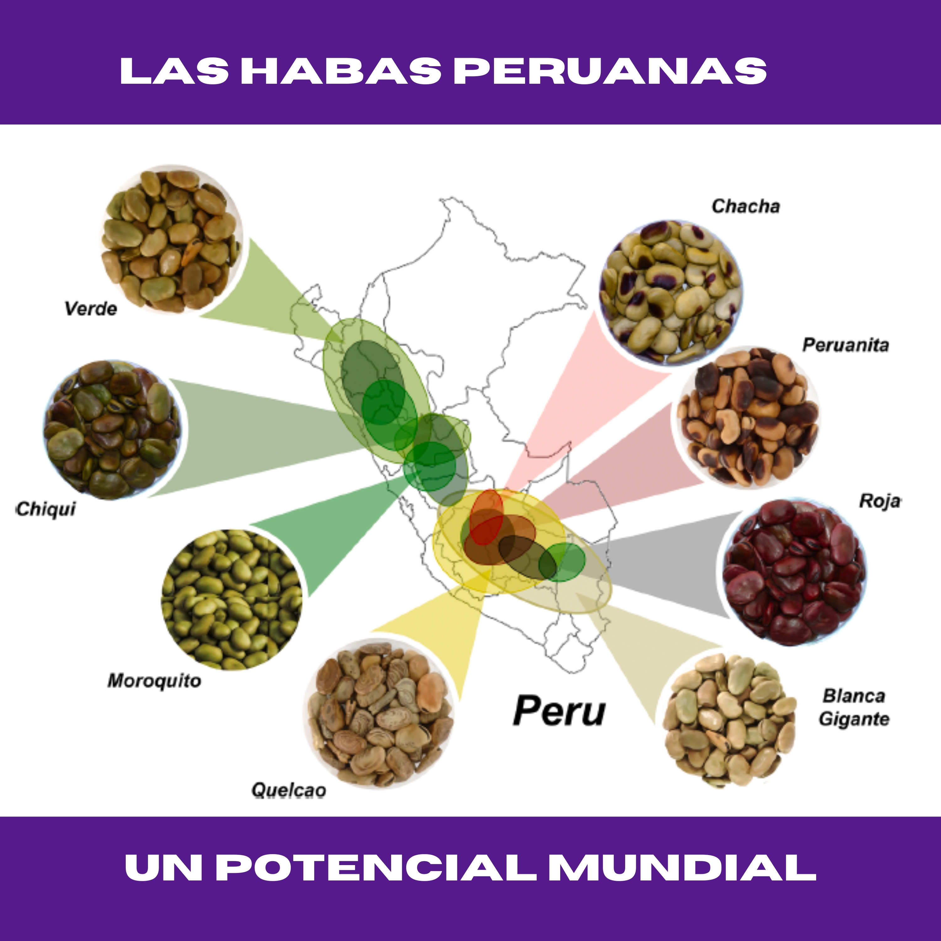 Superfoods Made in Peru