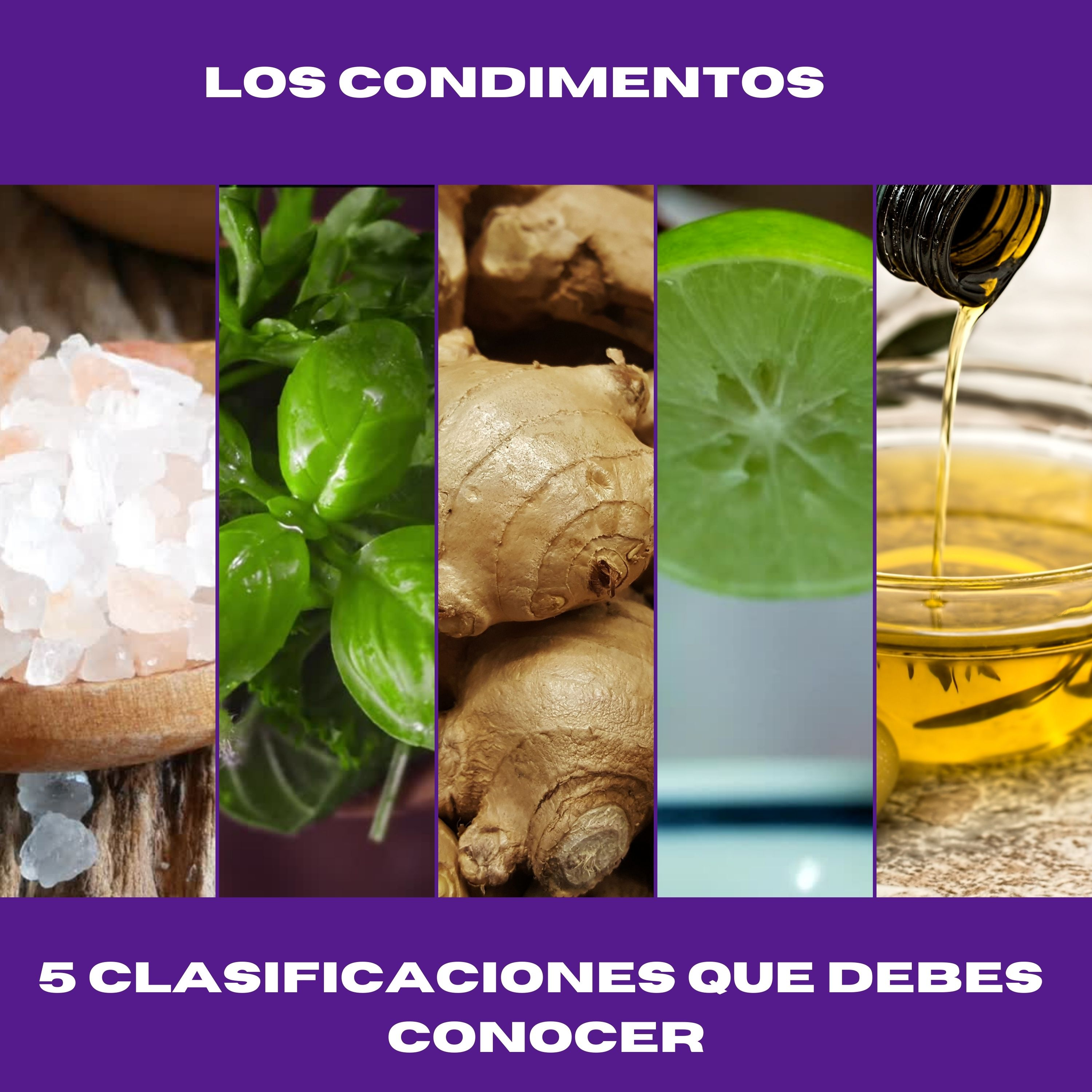¿CUÁL ES LA FUNCIÓN DE LOS CONDIMENTOS....? episode artwork