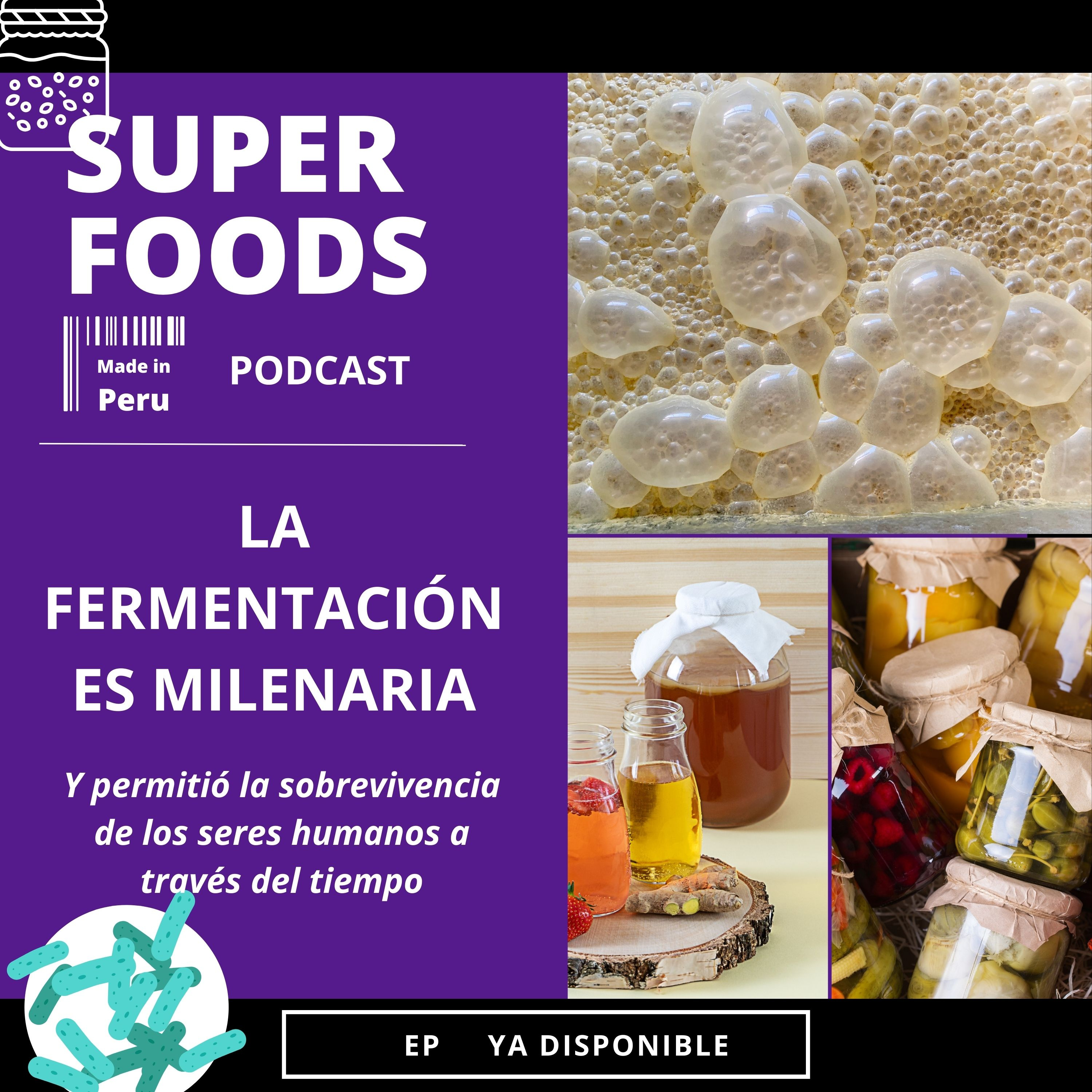 ¿Por qué consumir alimentos FERMENTADOS? episode artwork