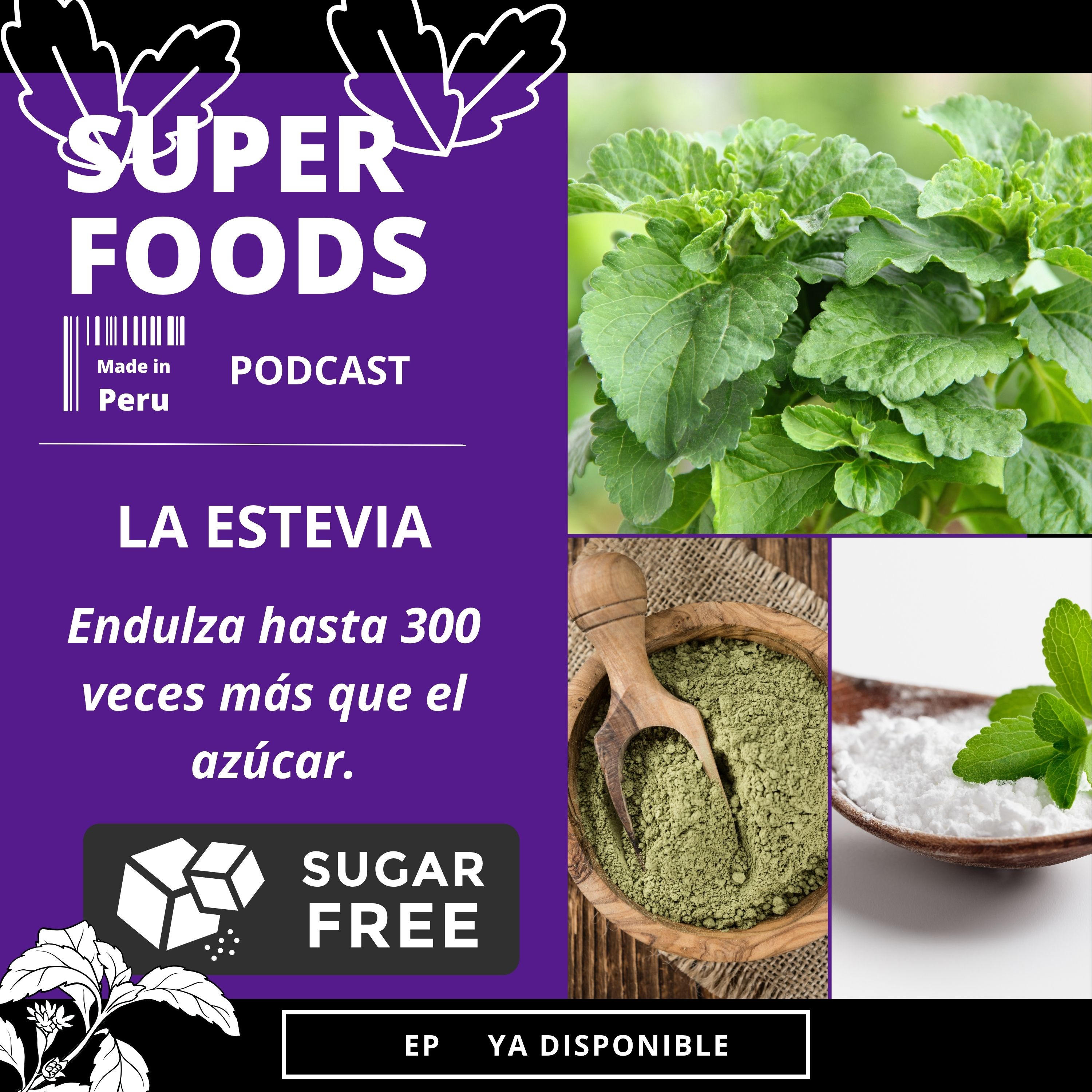 Hablemos sobre la Estevia | Endulza 300 veces más que el azúcar episode artwork