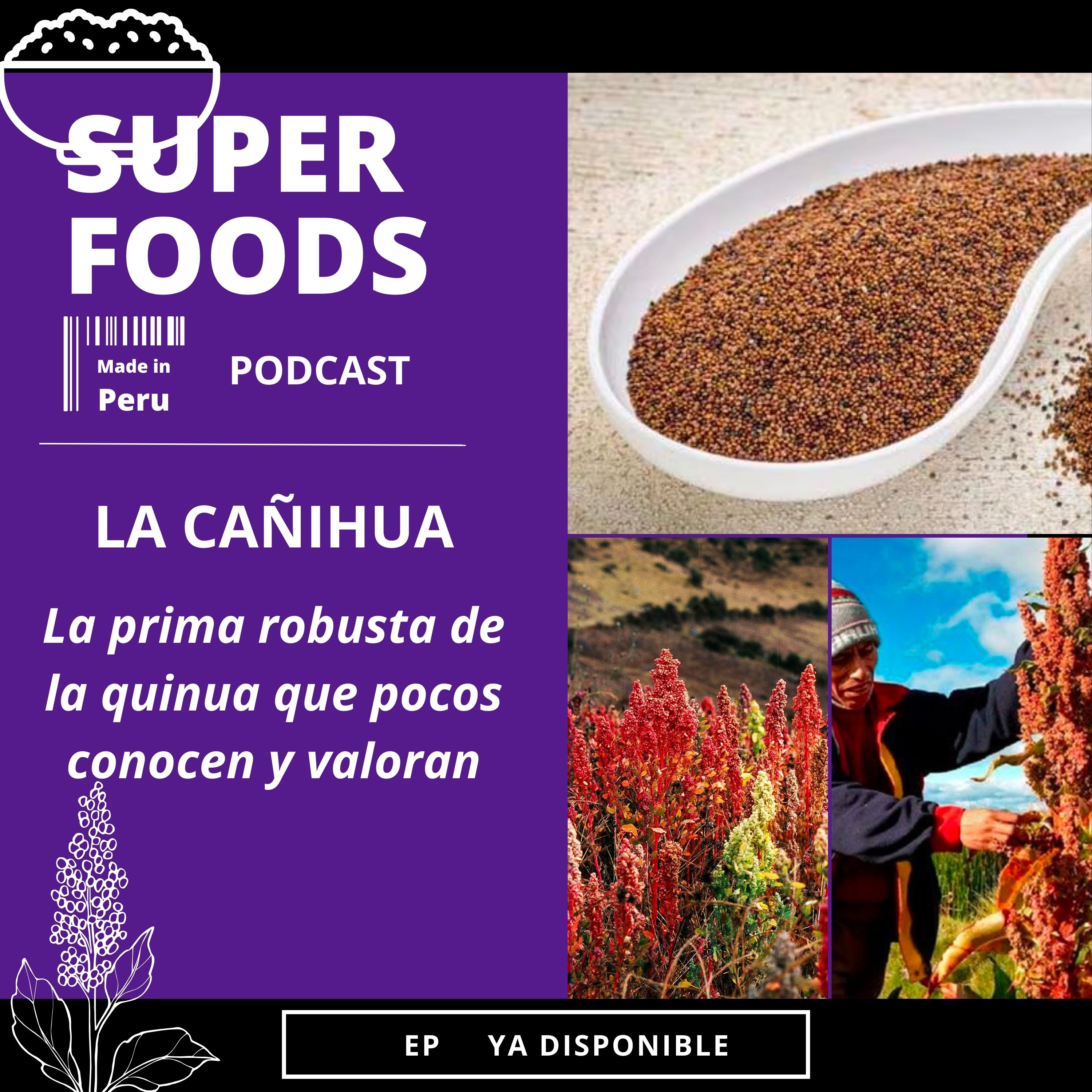 Propiedades y usos de la Cañihua episode artwork