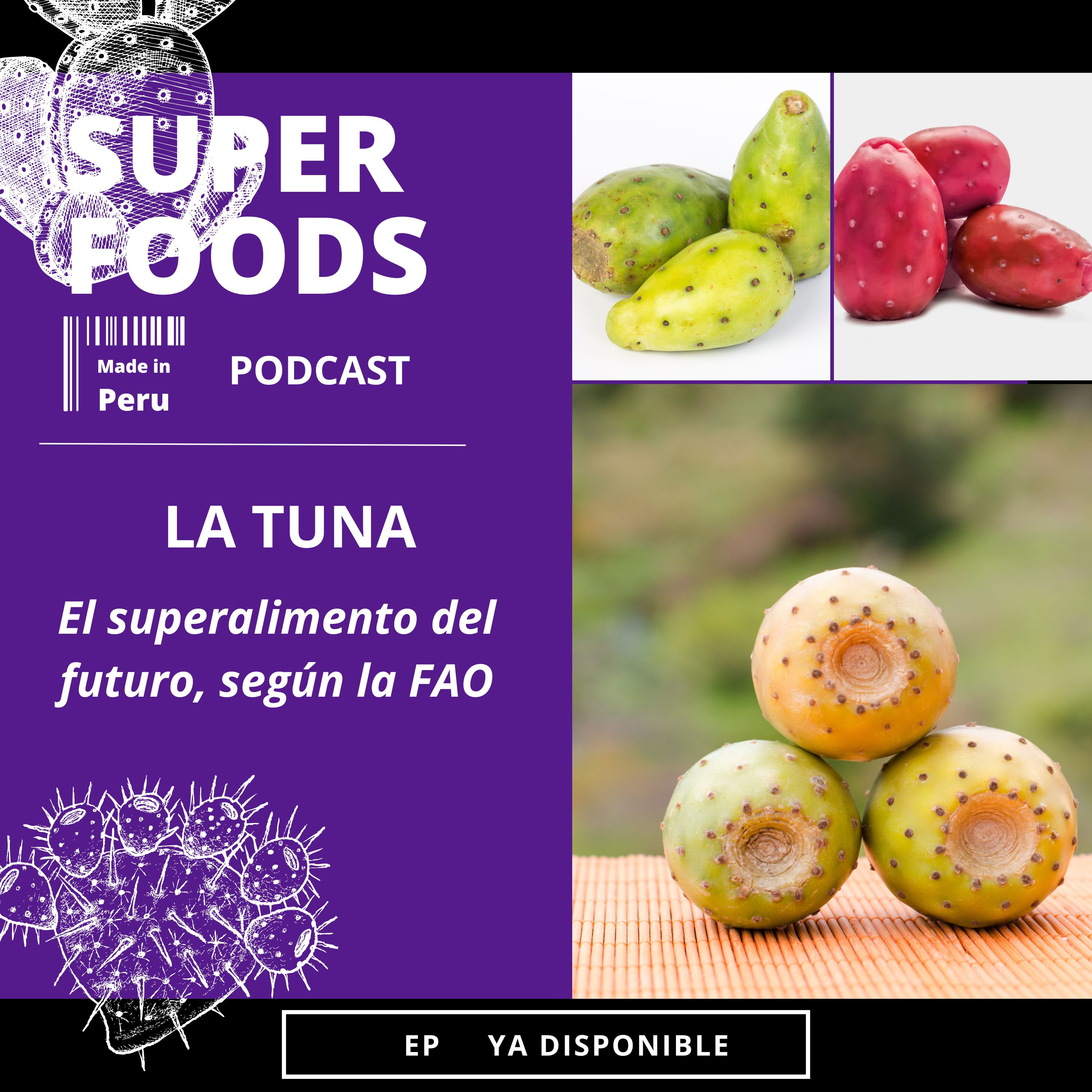 ¿Qué beneficios tiene la TUNA? episode artwork