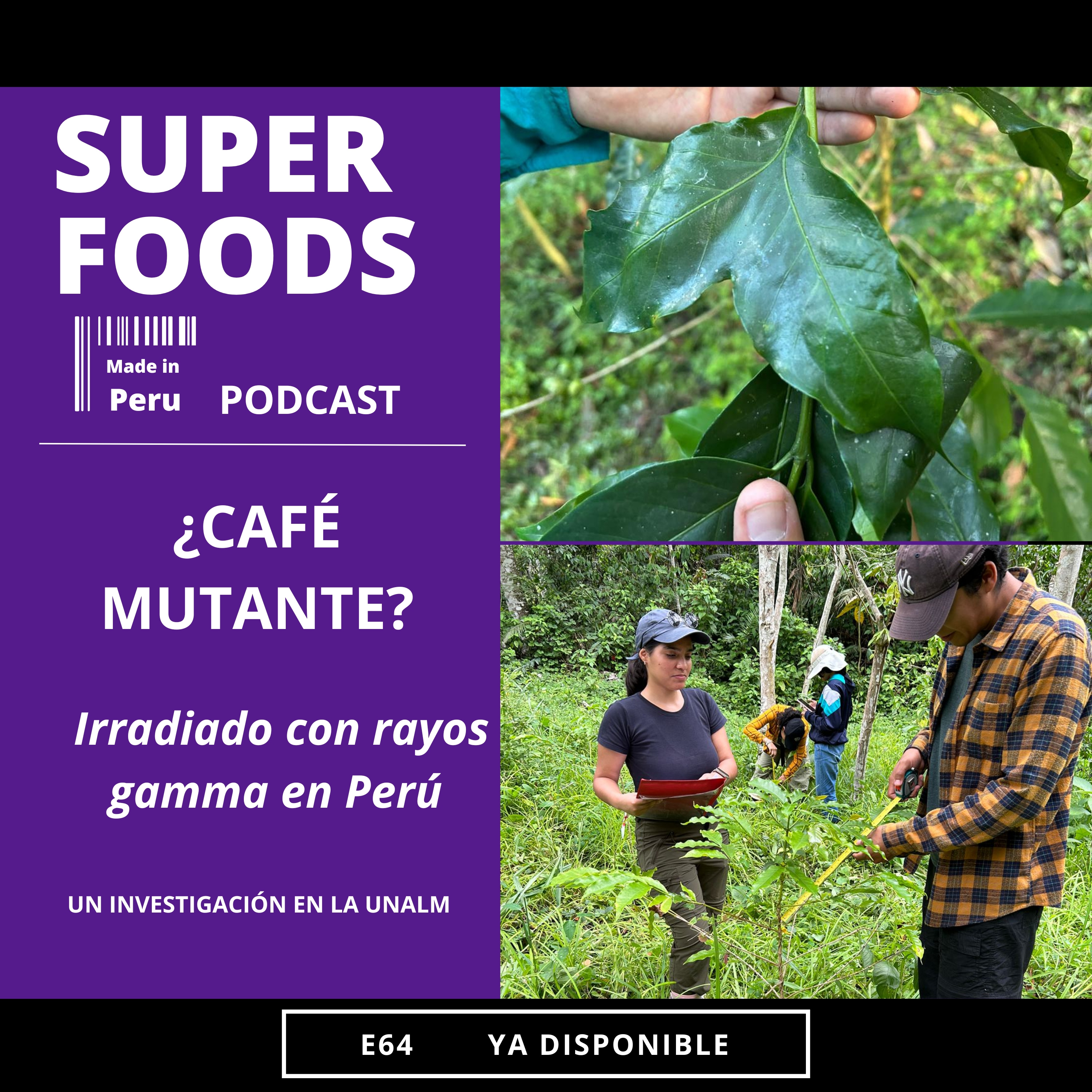 ¿Café MUTANTE? Se le irradió rayos gamma (NO ES BROMA) episode artwork