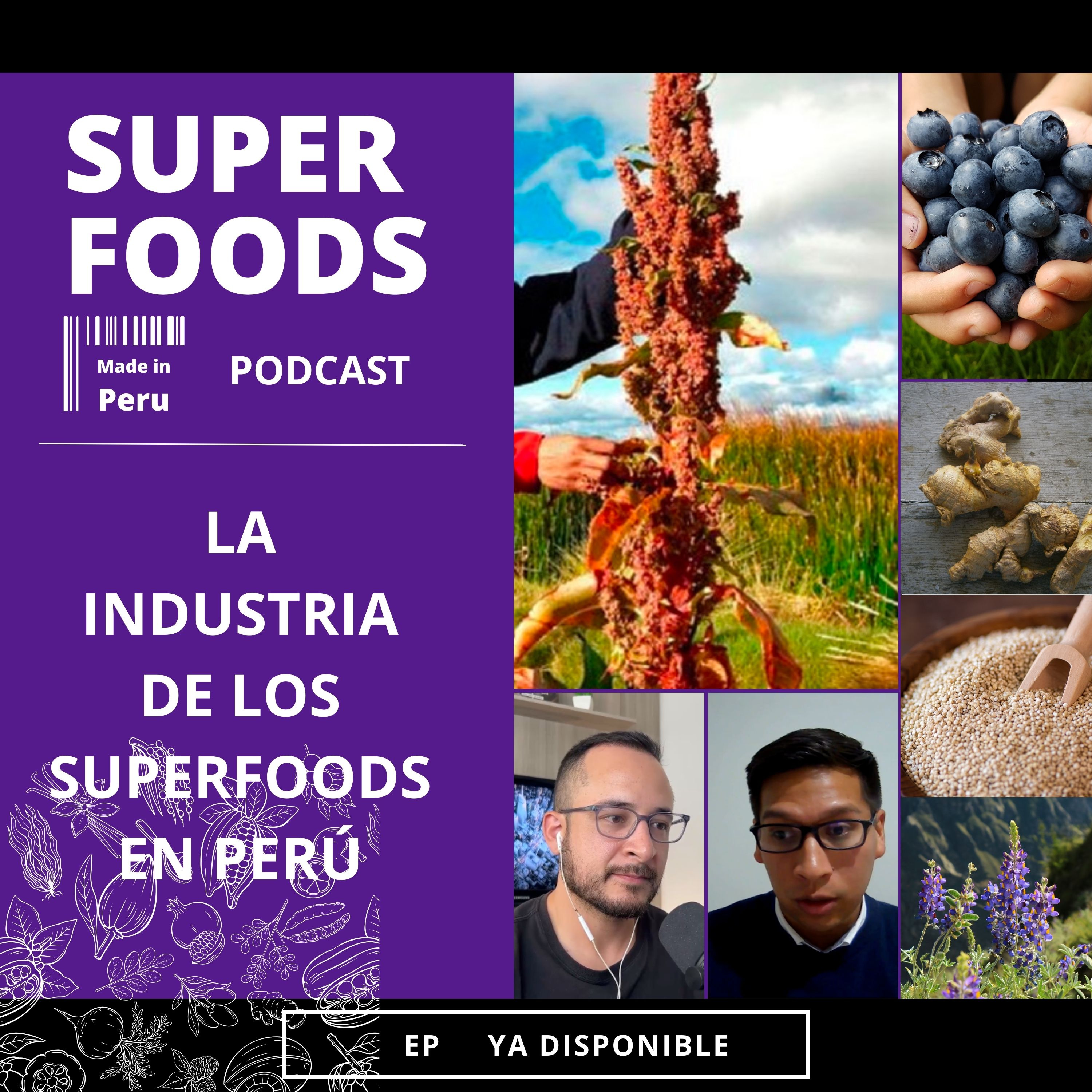 La industria de los superfoods en Perú episode artwork
