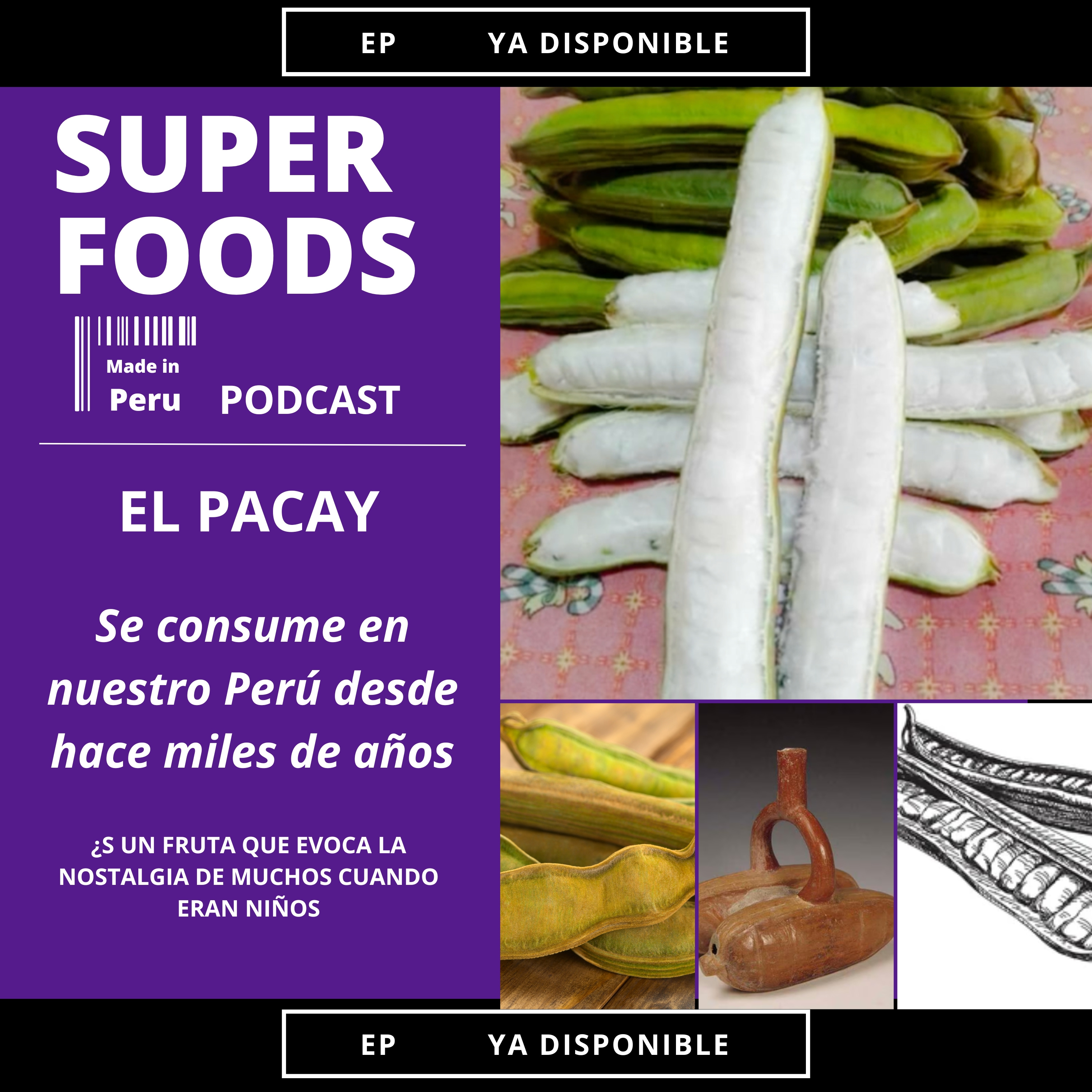 El PACAY ha sido parte de la dieta peruana por lo menos por 8000 AÑOS episode artwork
