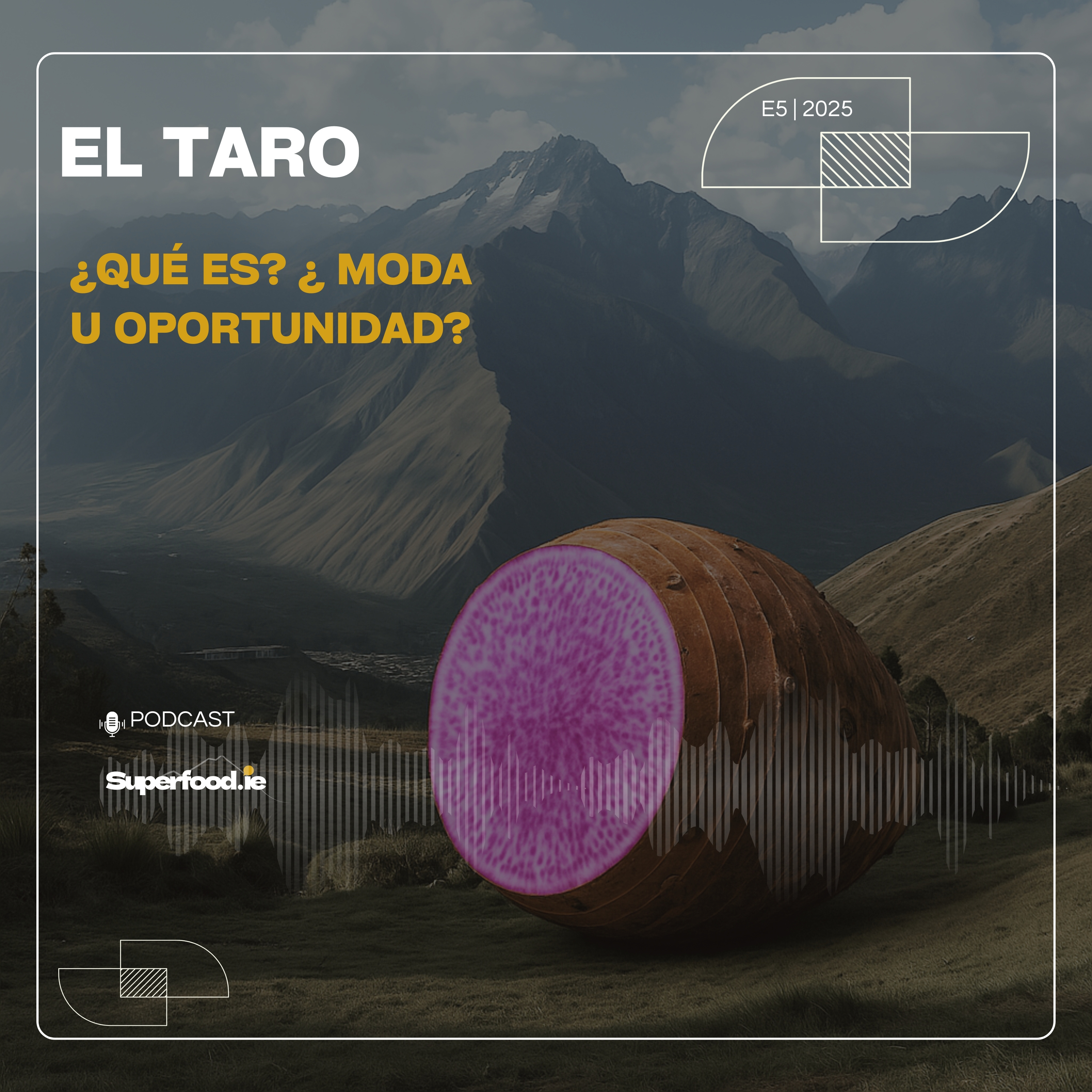 ¿Por qué todos están OBSESIONADOS con el TARO?  episode artwork