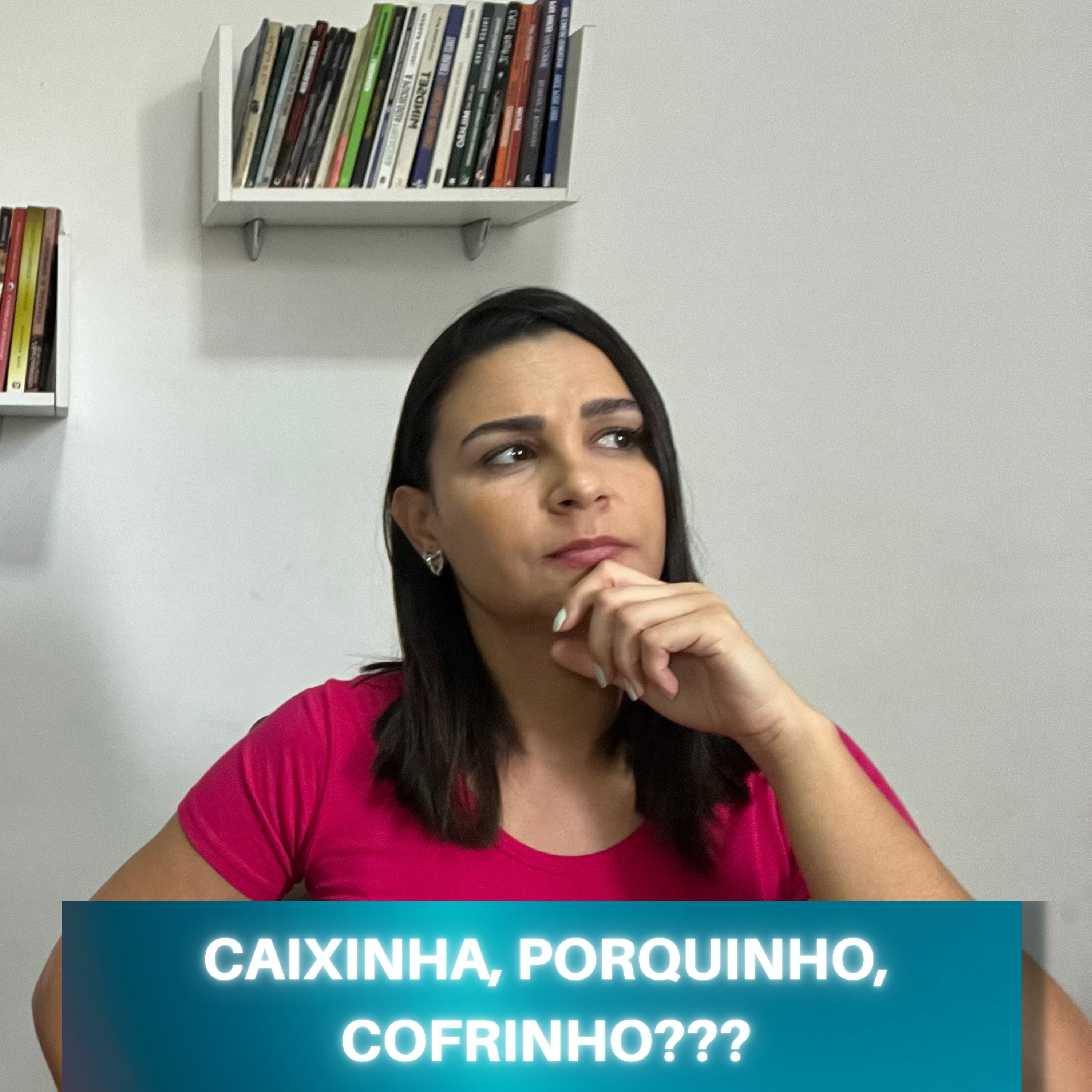 CAIXINHA, PORQUINHO, COFRINHO | Investimentos para iniciantes episode artwork