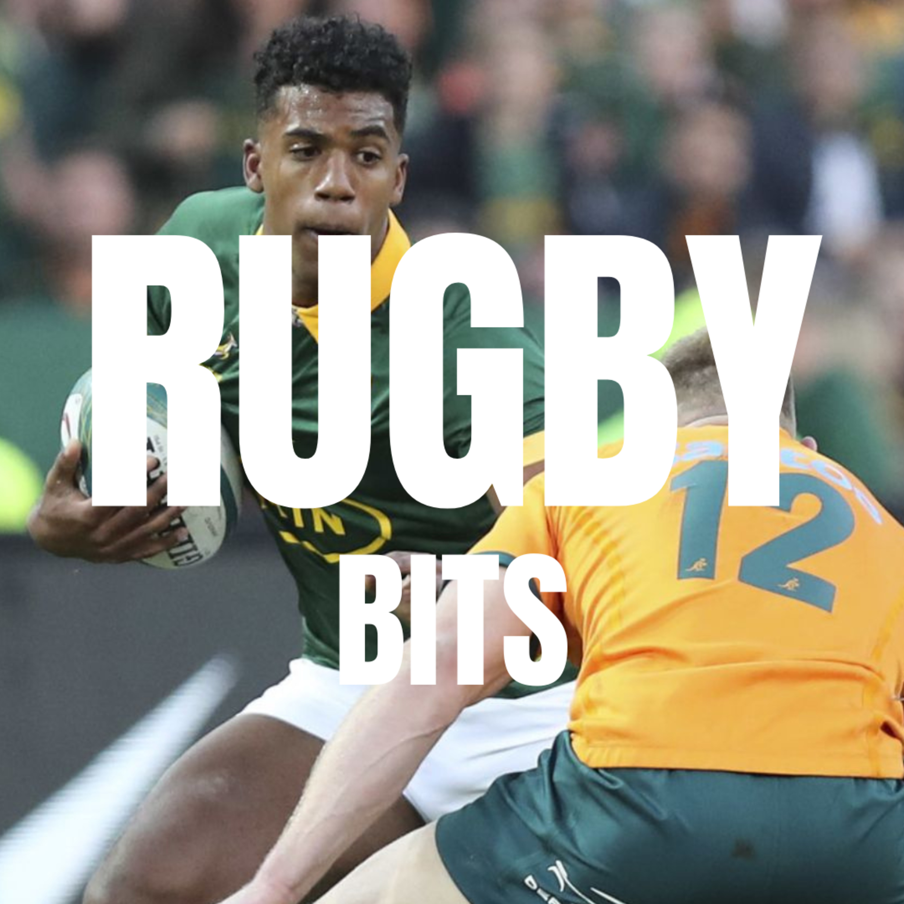 Bok/NZ double header preview: 7/1 bench, more Tony-ball and Dolf and Willemse big games episode artwork