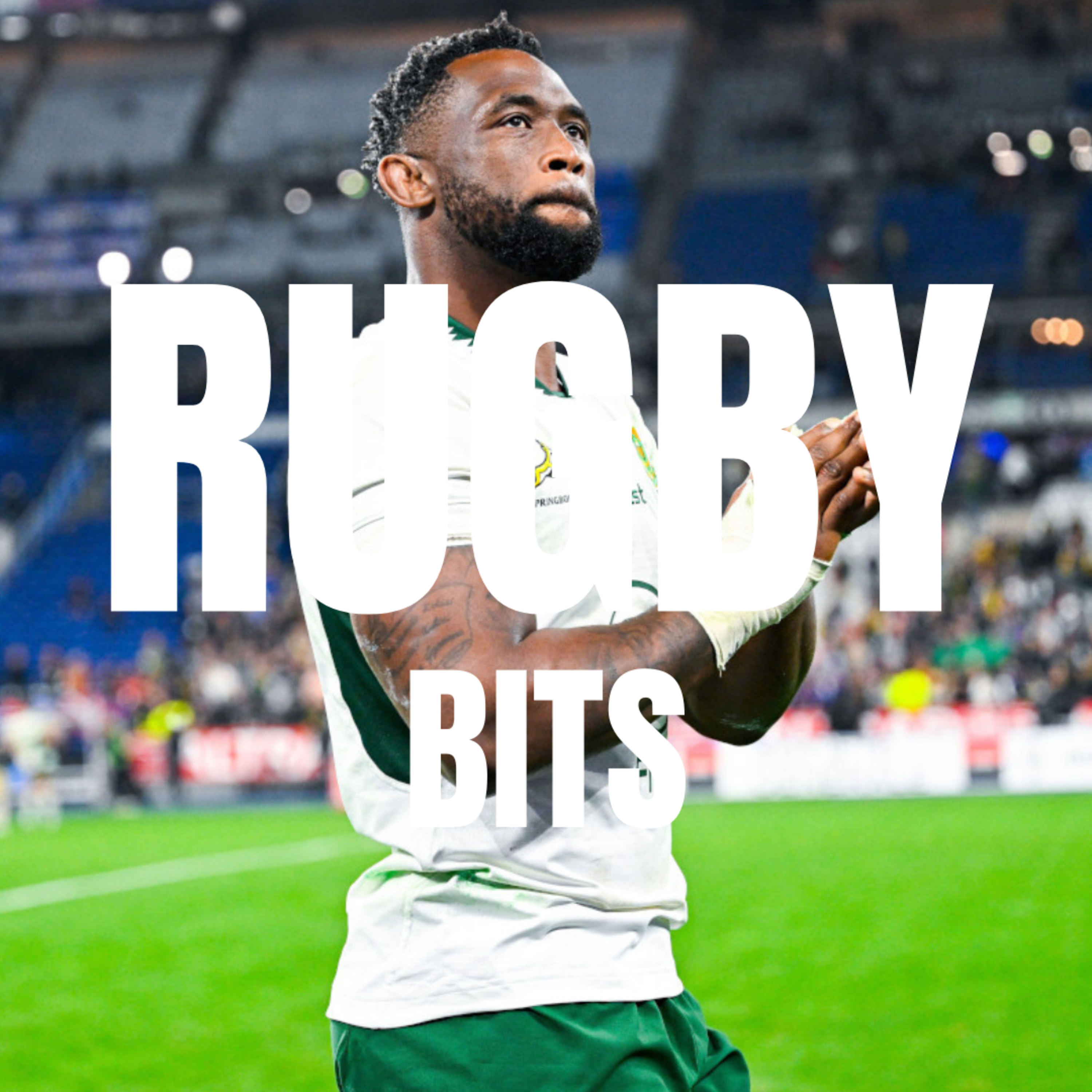 Siya Kolisi 100, Magnificent Marx, Juggernaut Jasper and all the ANS reaction episode artwork