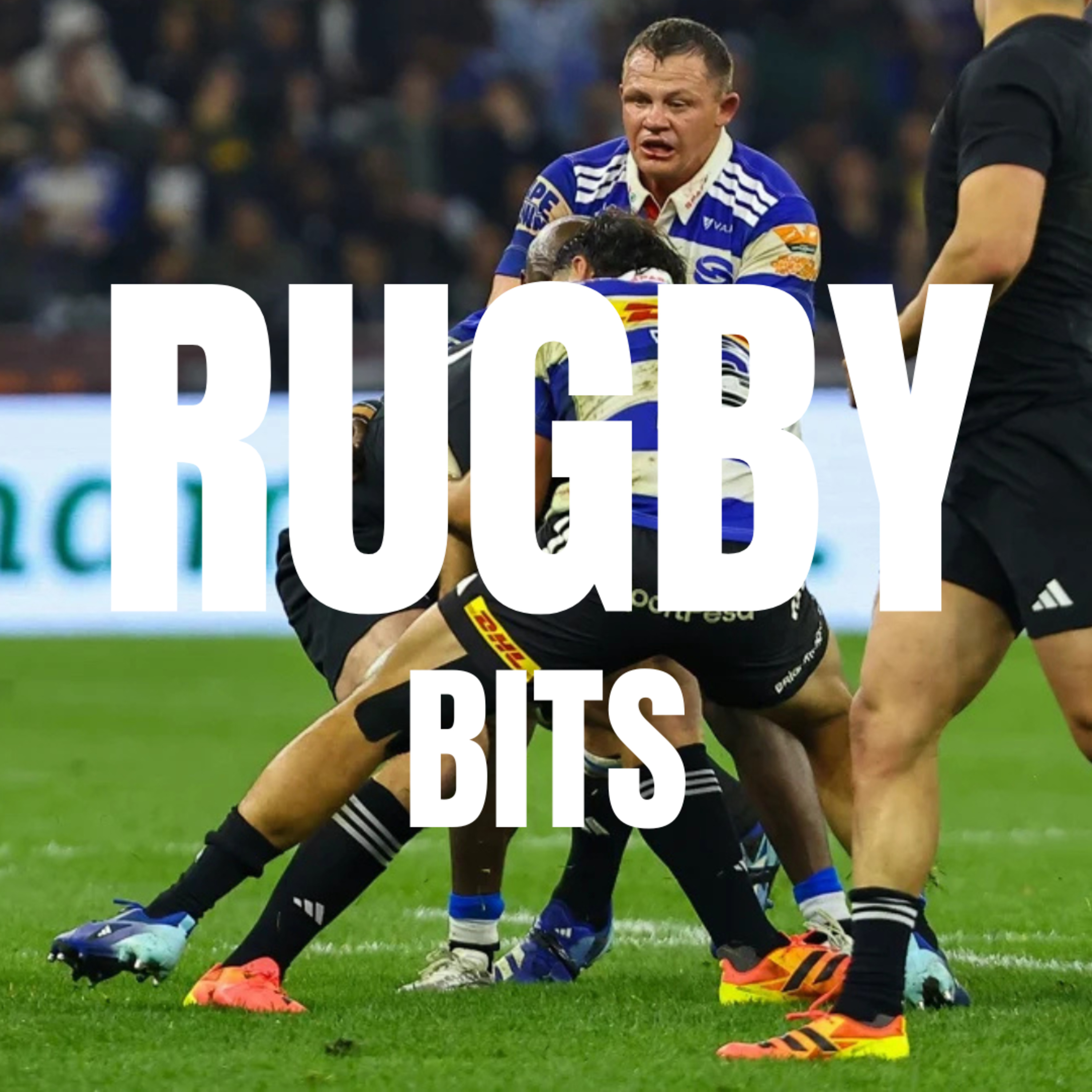 Springboks survive determined Pumas and All Blacks left with more questions with Harry Jones episode artwork