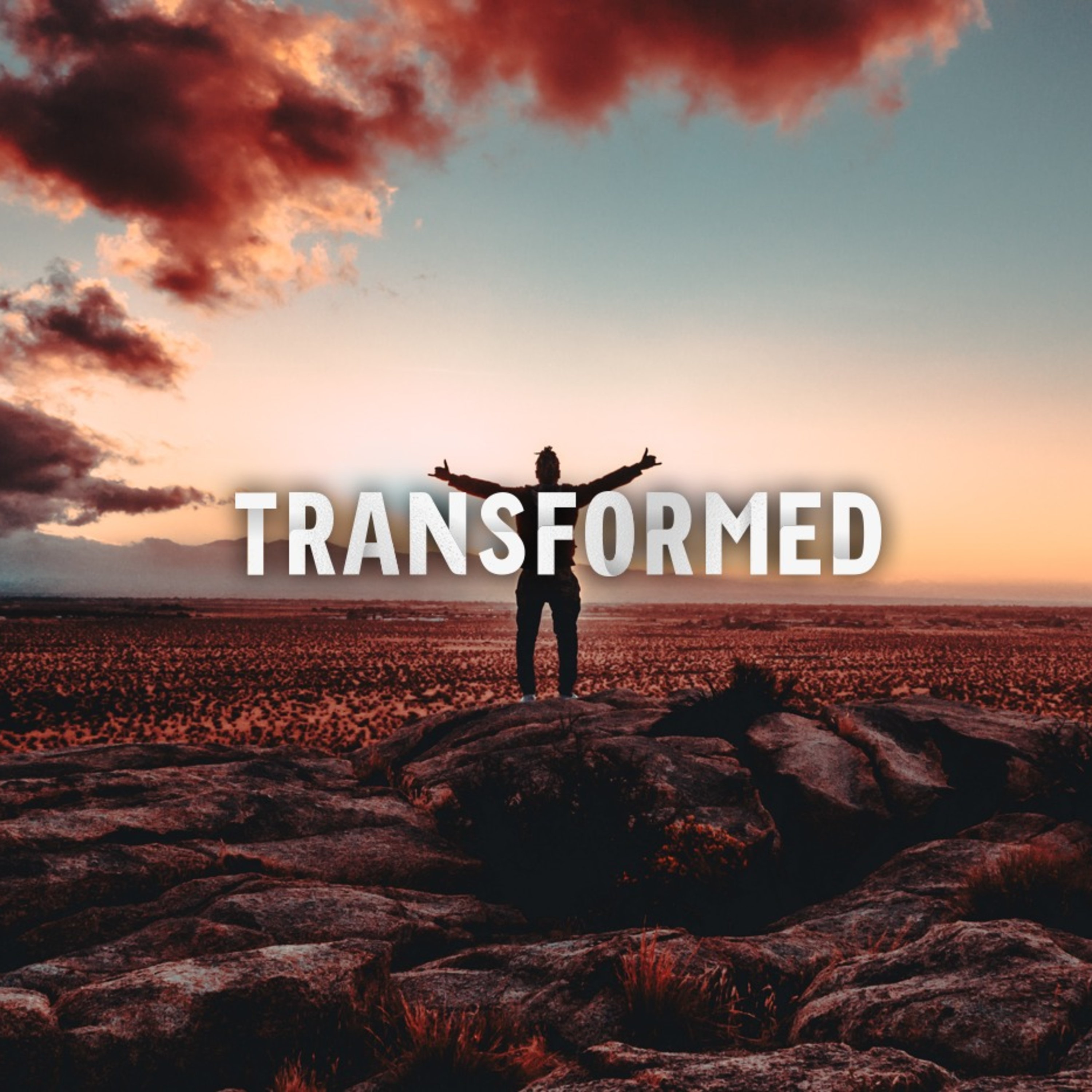 Transformed: Restoration Business episode artwork