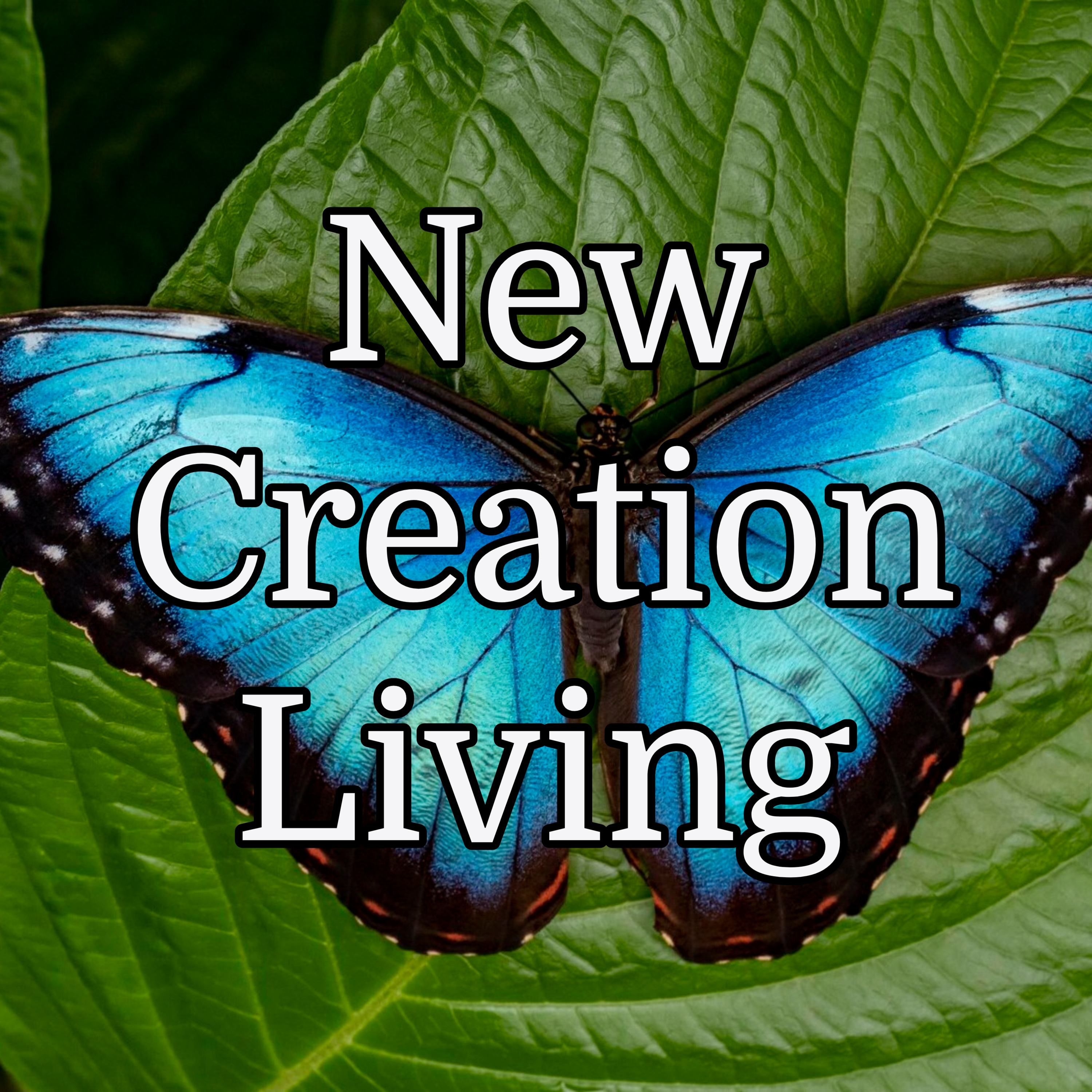 New Creation Living: Loved Like Jesus episode artwork