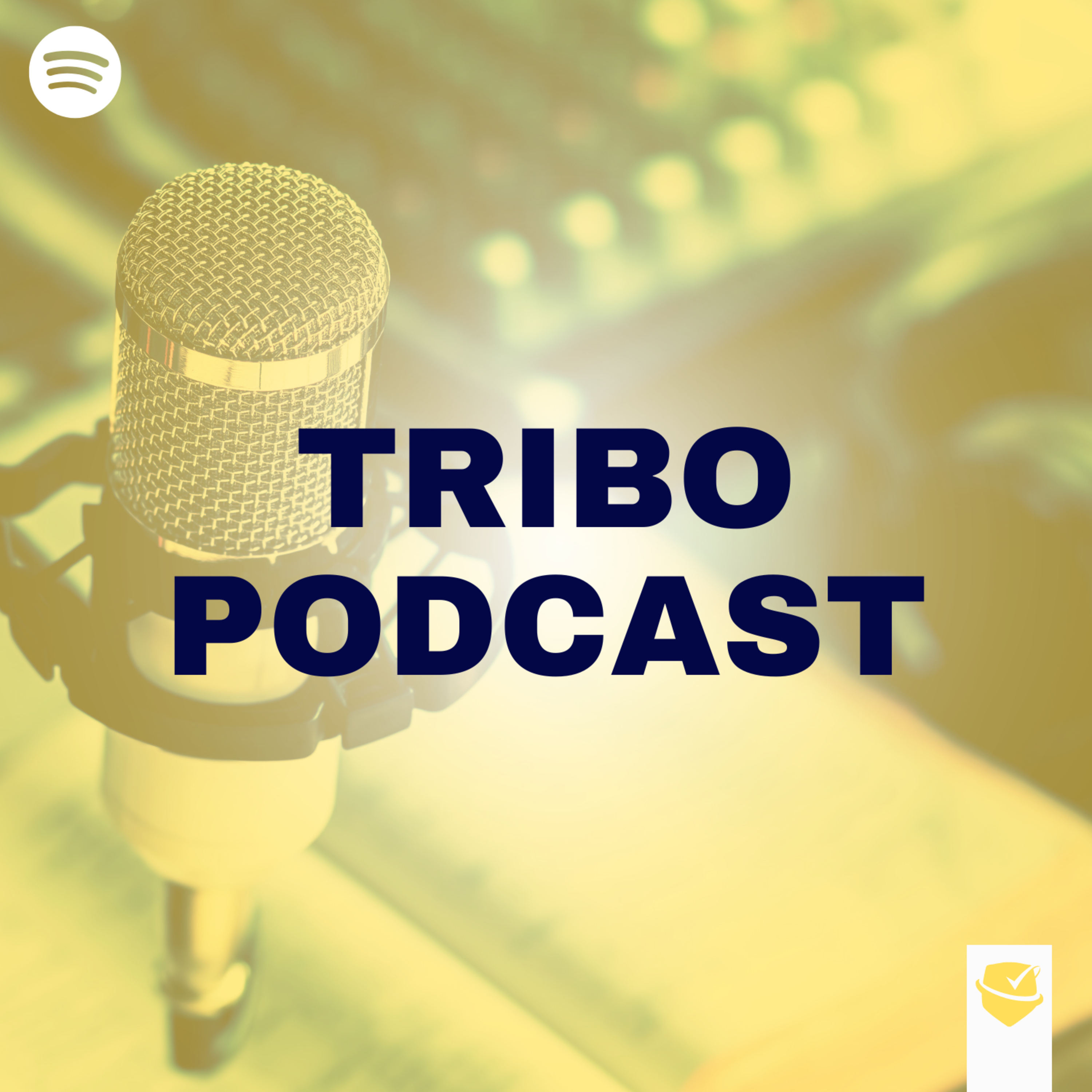 TRIBOCAST | Como ter cabeça de investidor mesmo estudando para concursos - Lucas Neto e Ezequiel Coelho. episode artwork