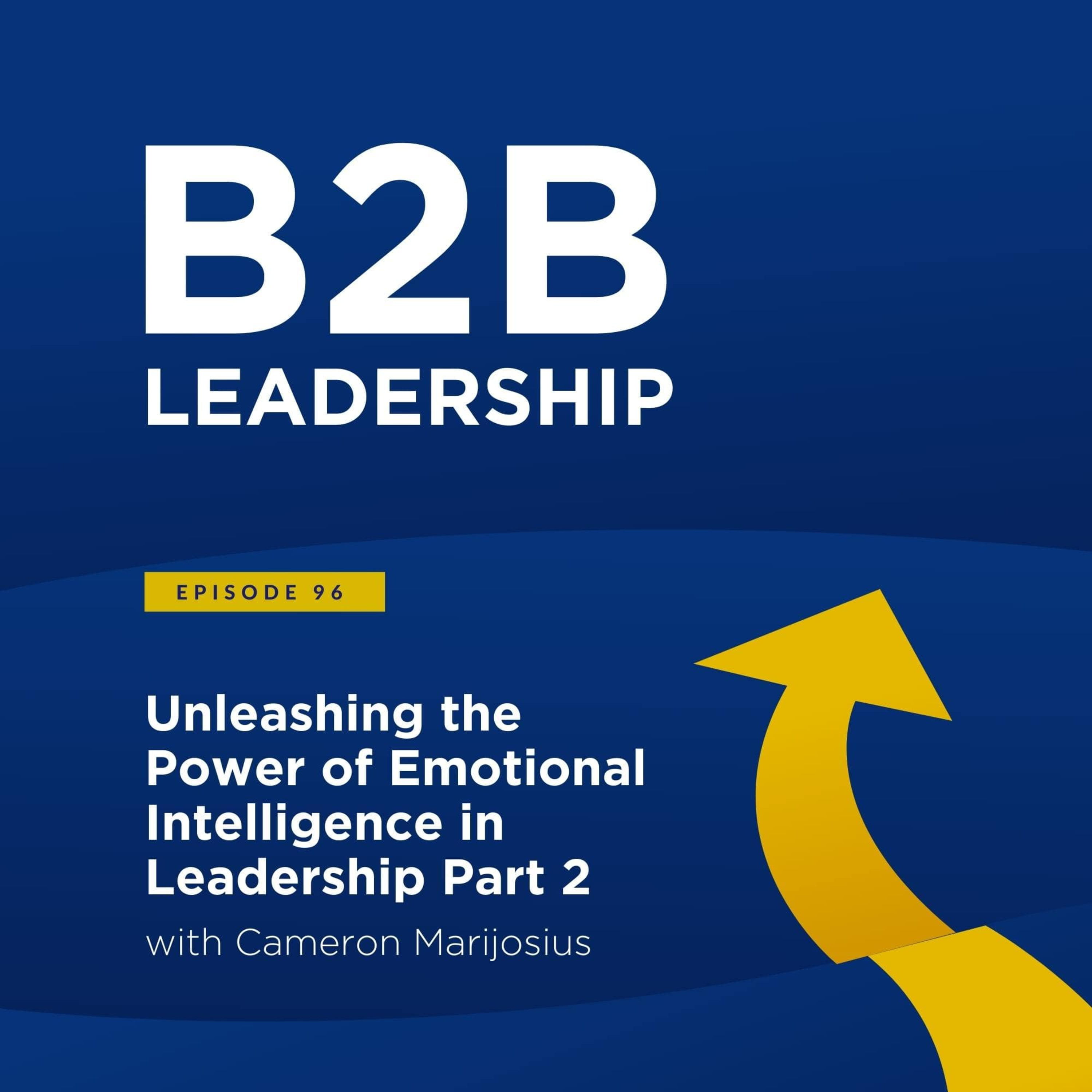 B2B Leadership Podcast
