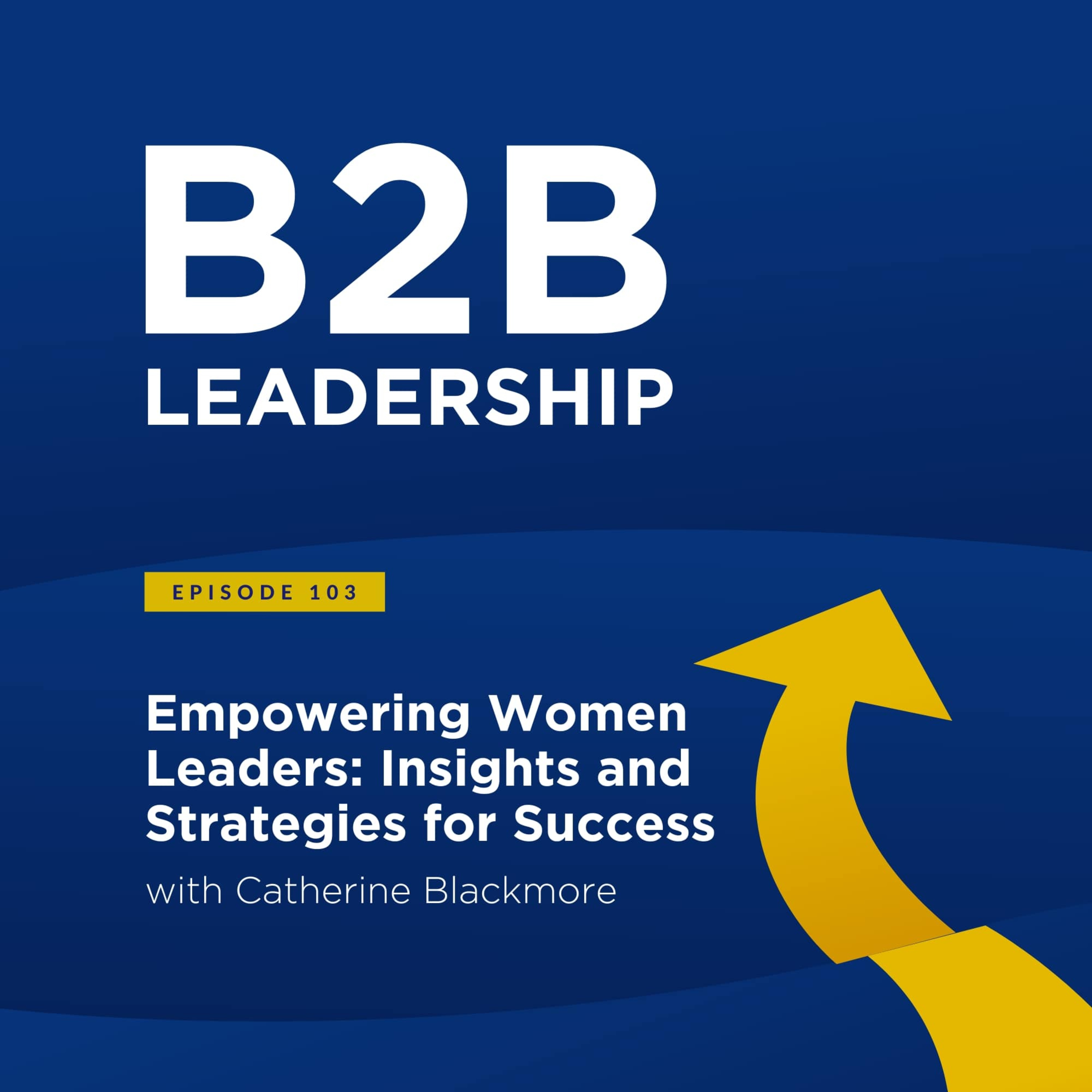 B2B Leadership Podcast