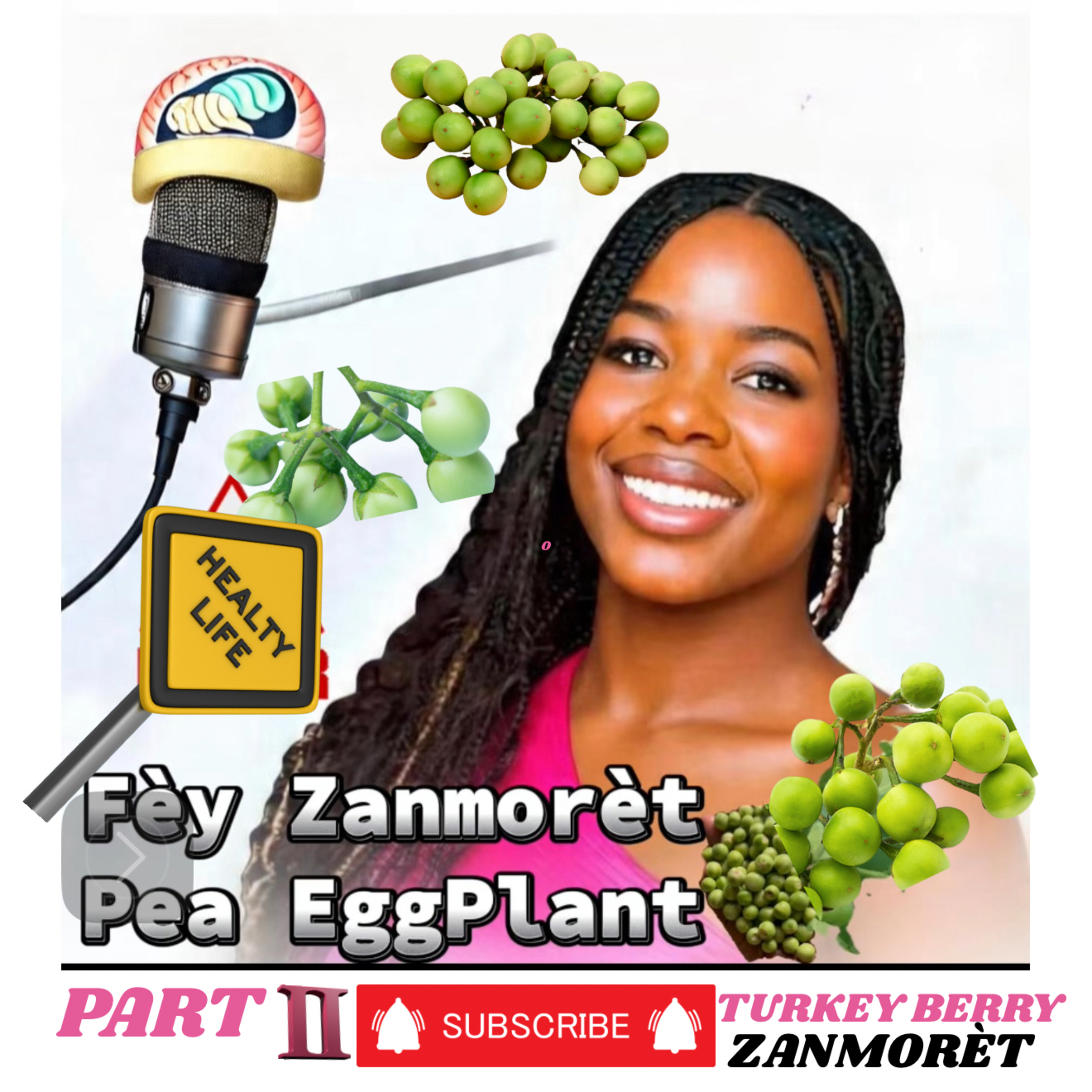 Clarification of Turkey Berry/ Zanmorèt Bon anpil Zanmi mwen yo/ Sorry #PartII episode artwork