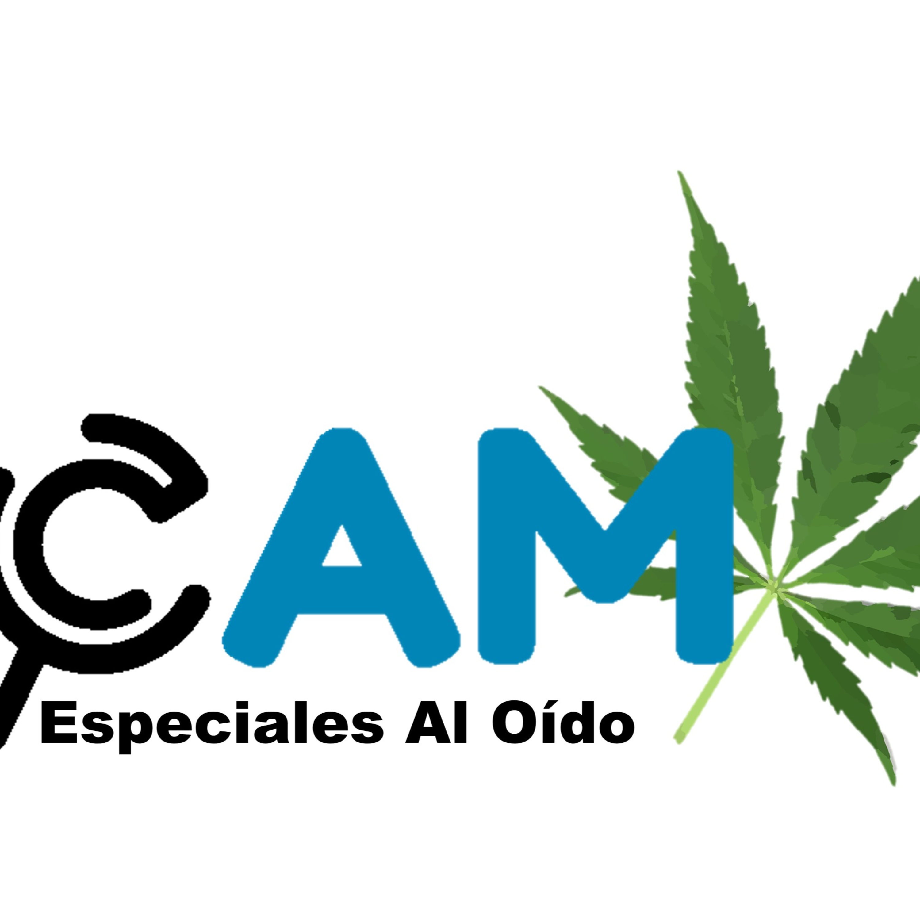 Portada de FULL CAM Podcast