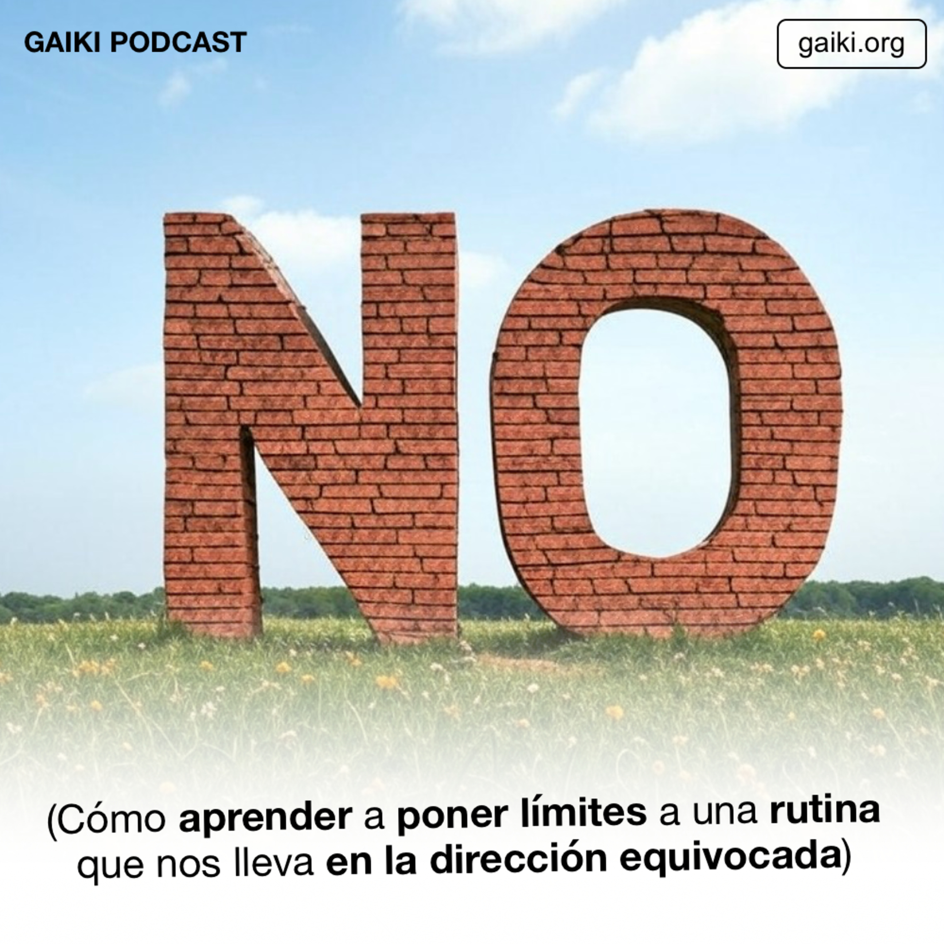 NO (Cómo aprender a poner límites a una rutina que nos lleva en la dirección equivocada)