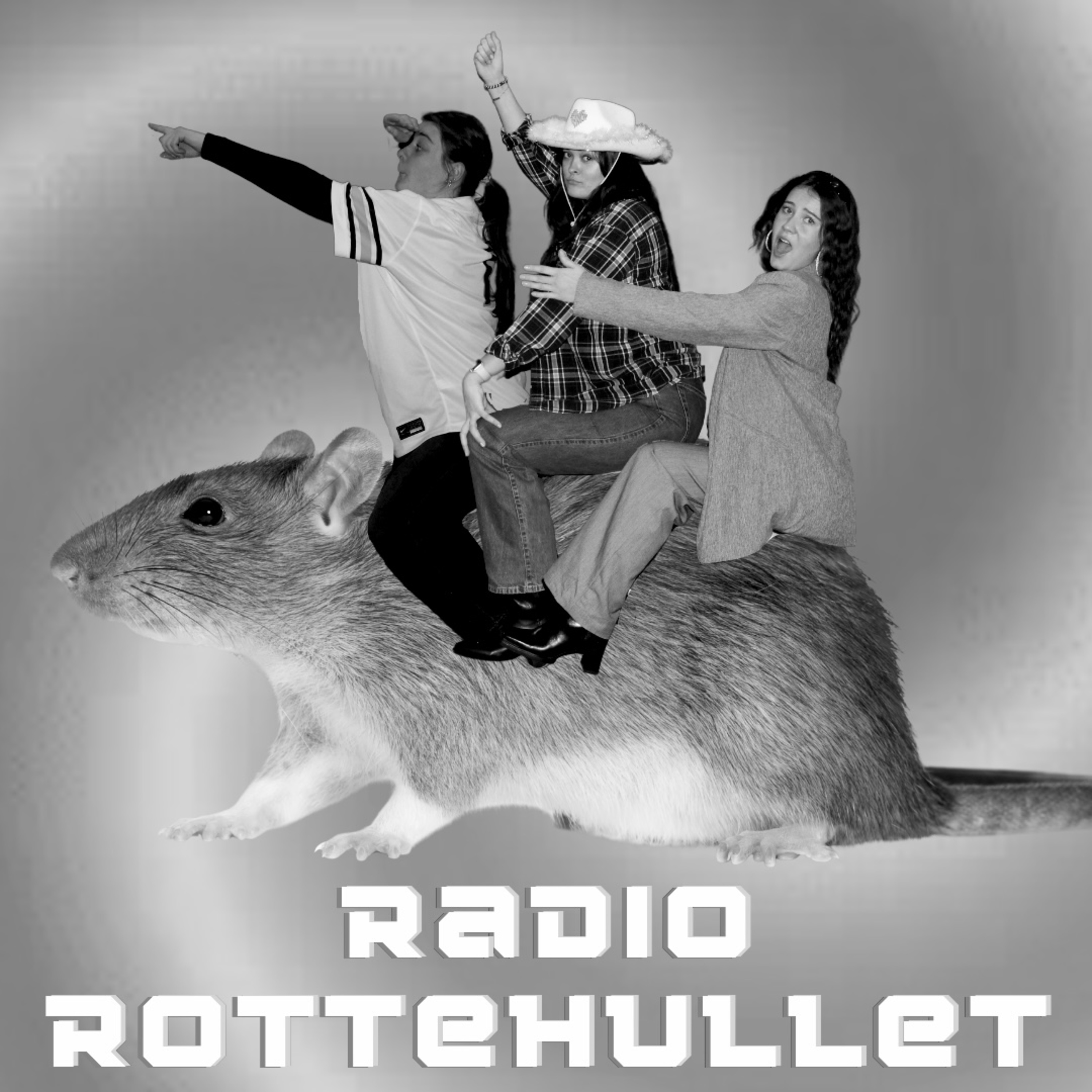 Radio Rottehullet - EP. 6 (Traumecenteret) episode artwork