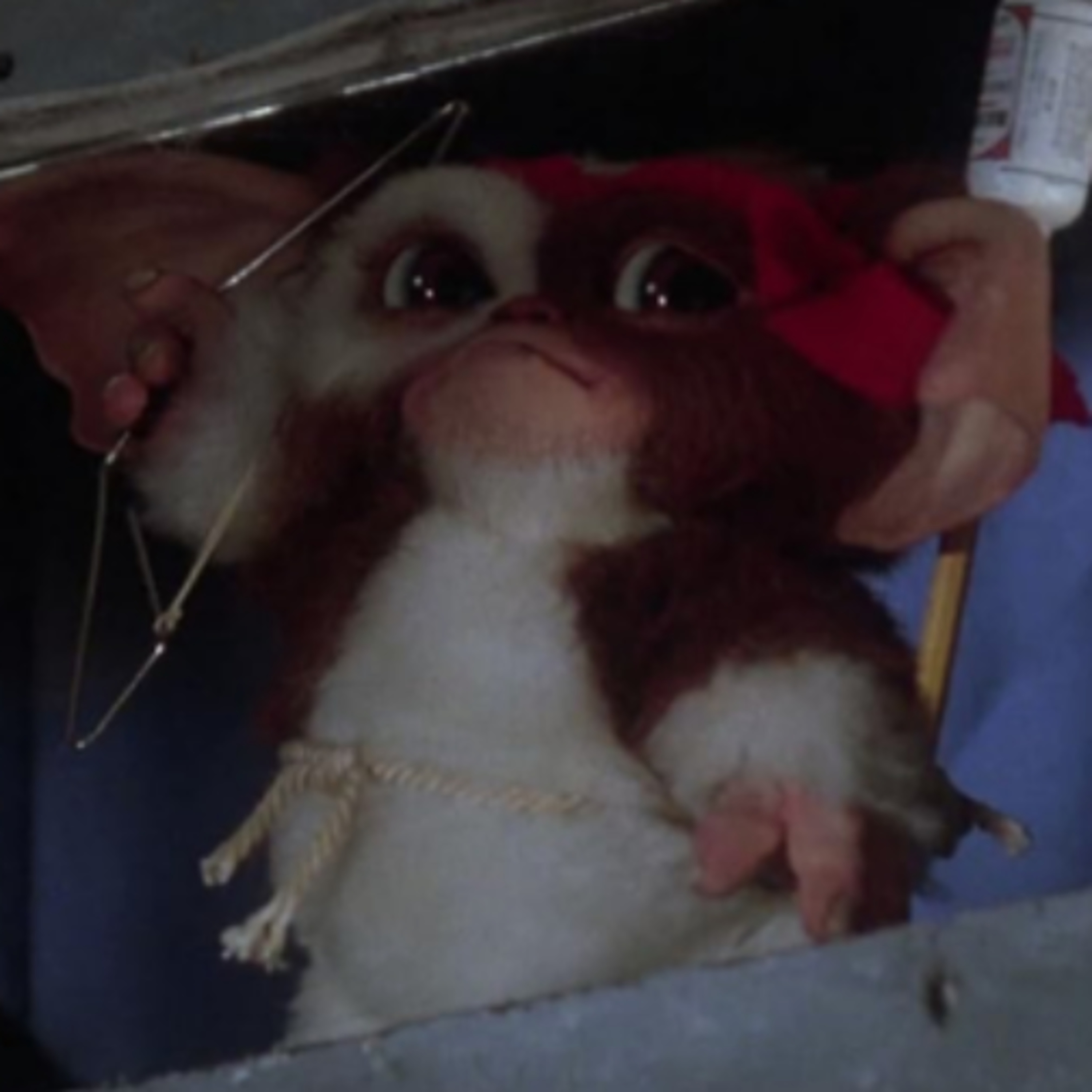 Jamie and Fortch in the Betamax Dungeon