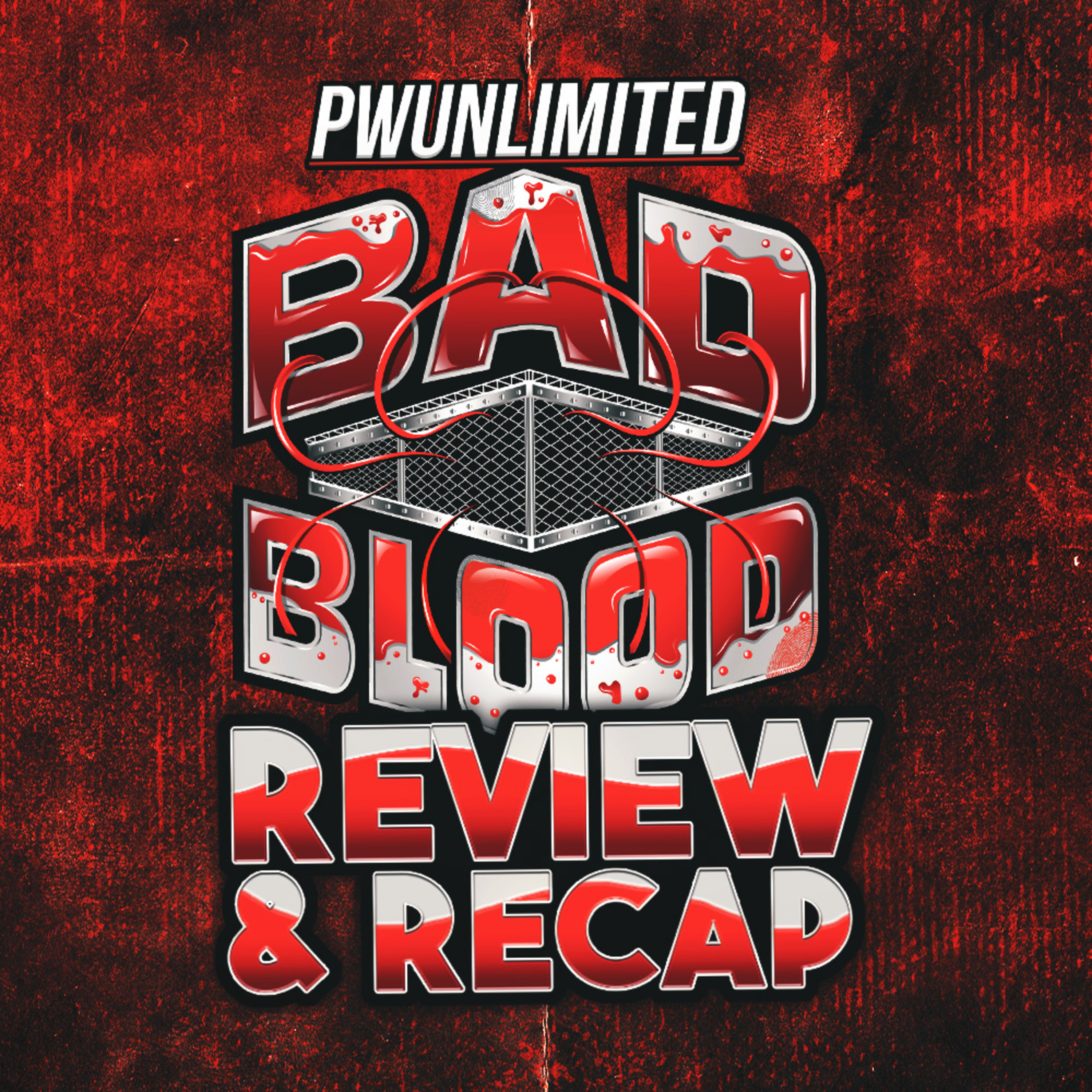 2024 WWE Bad Blood Review & Recap episode artwork
