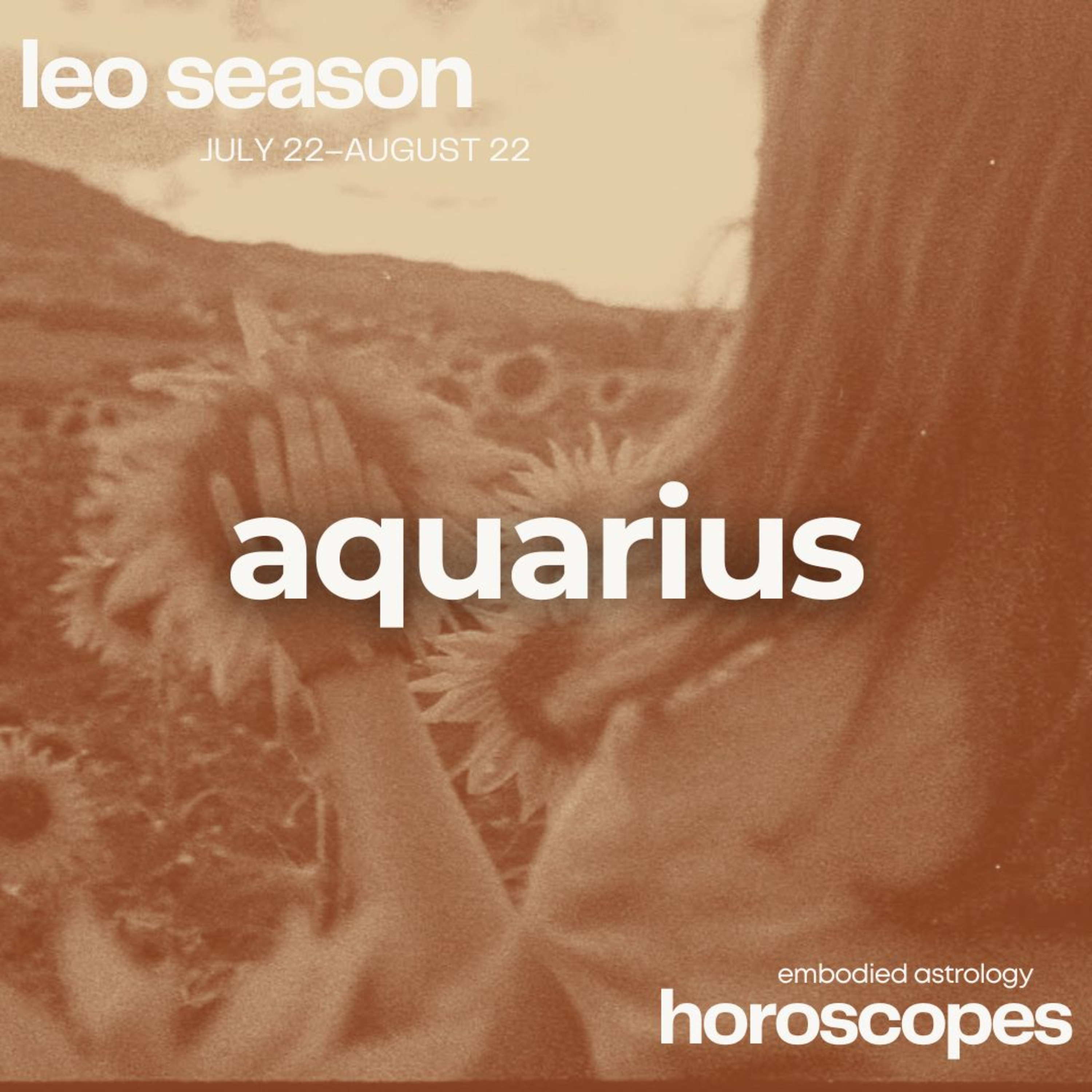Embodied Astrology