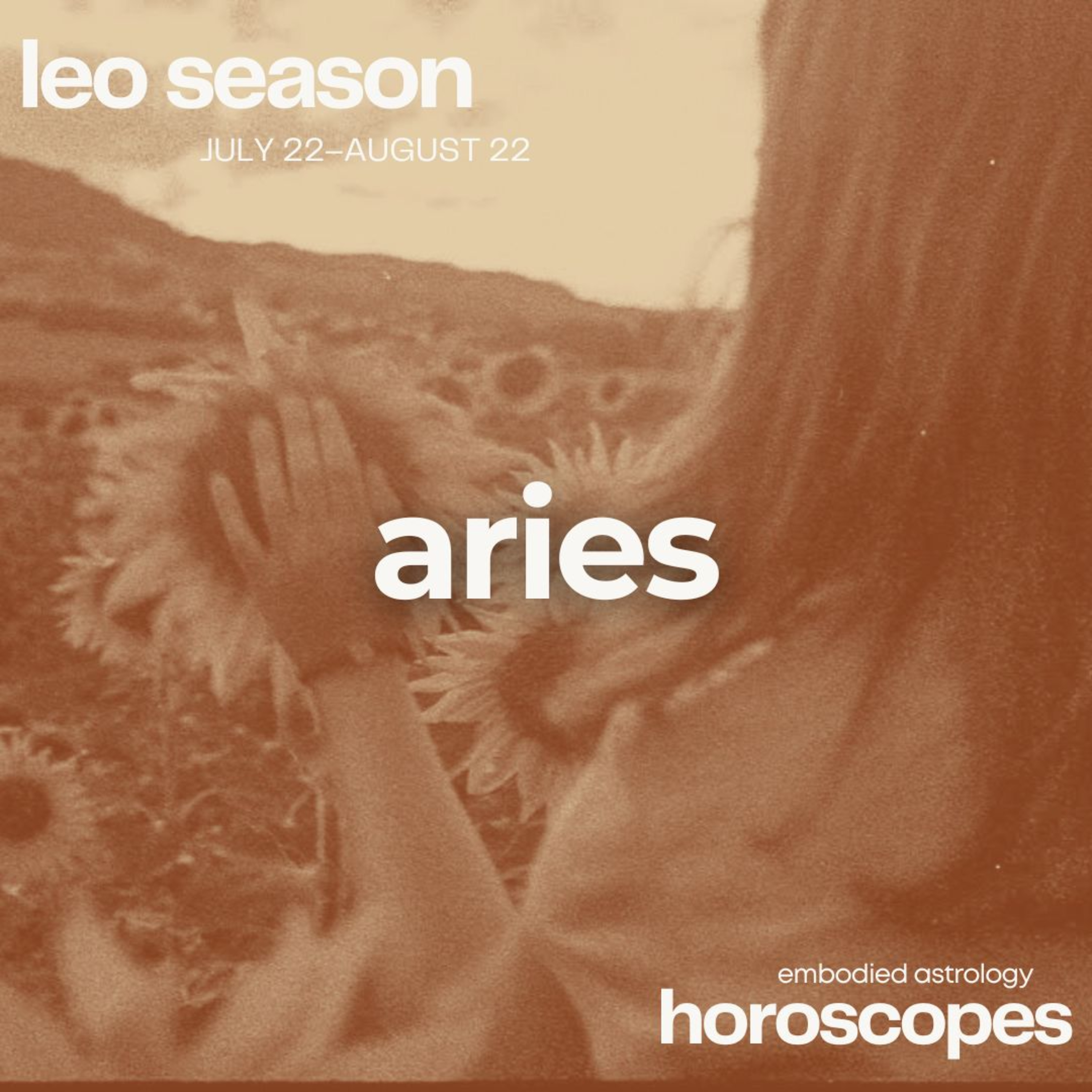 Embodied Astrology