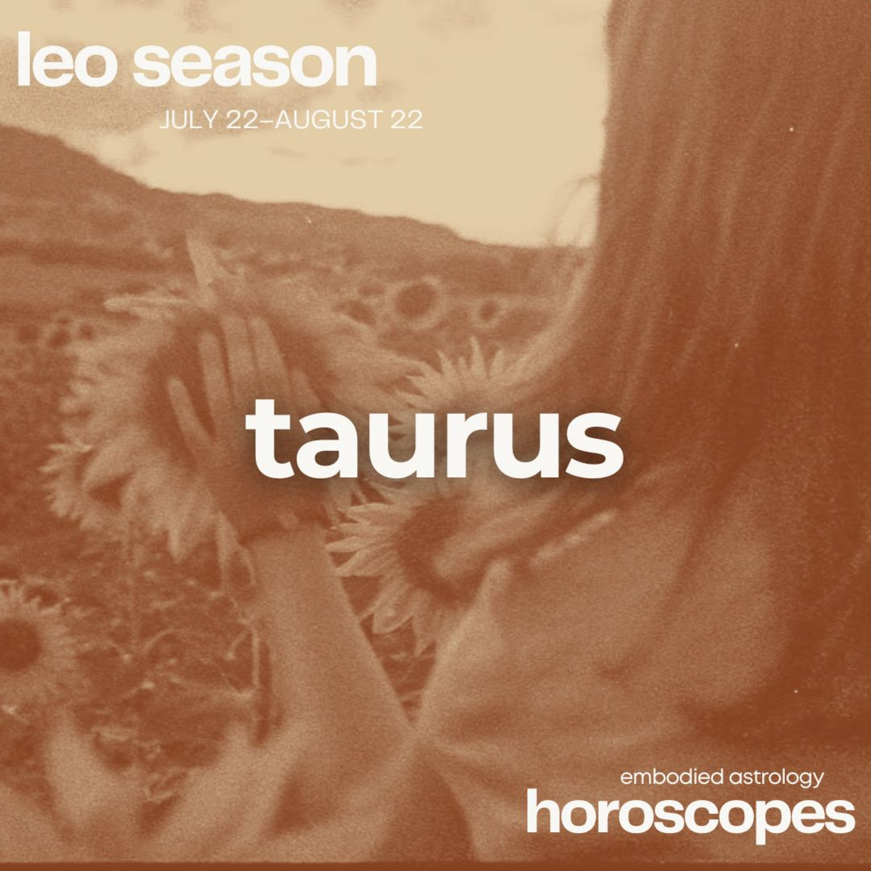 Embodied Astrology