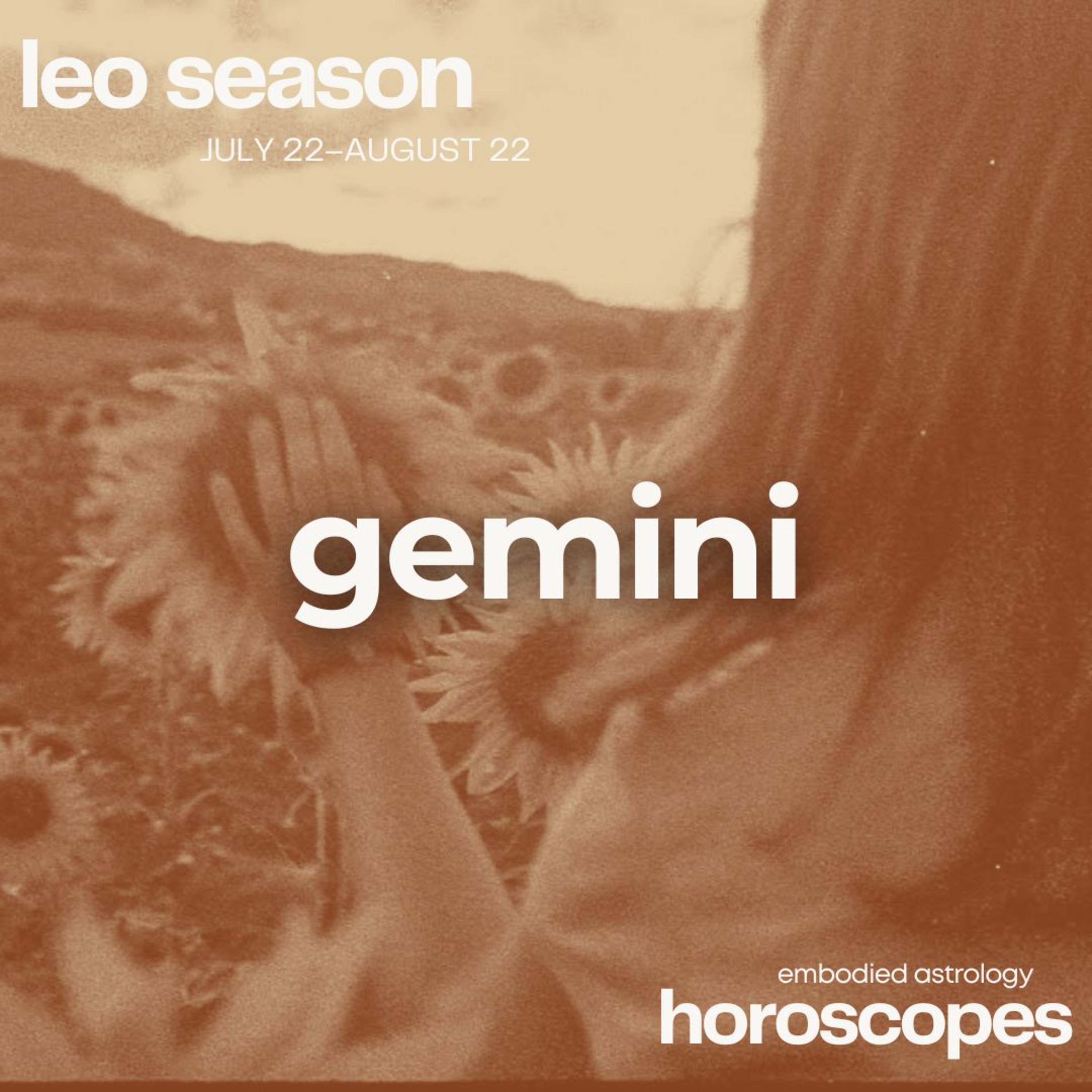 Embodied Astrology
