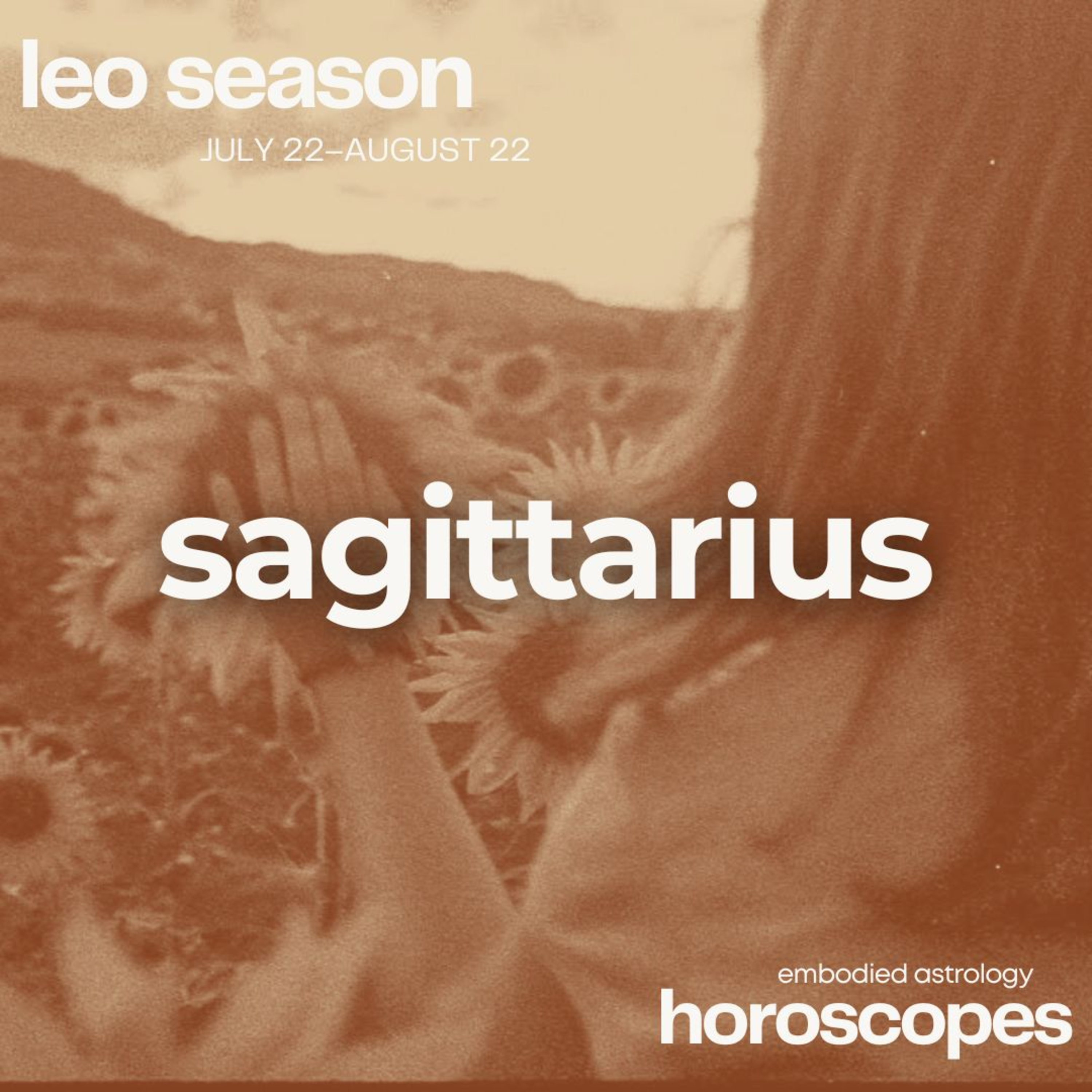 Embodied Astrology