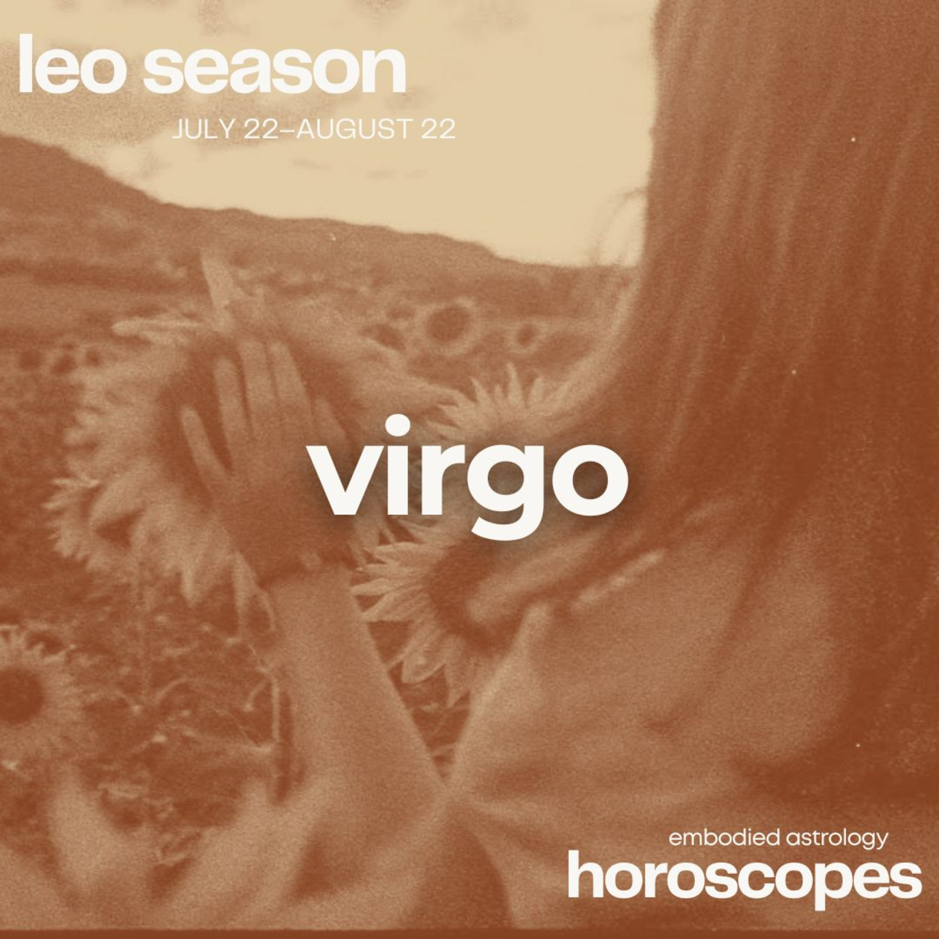 Embodied Astrology