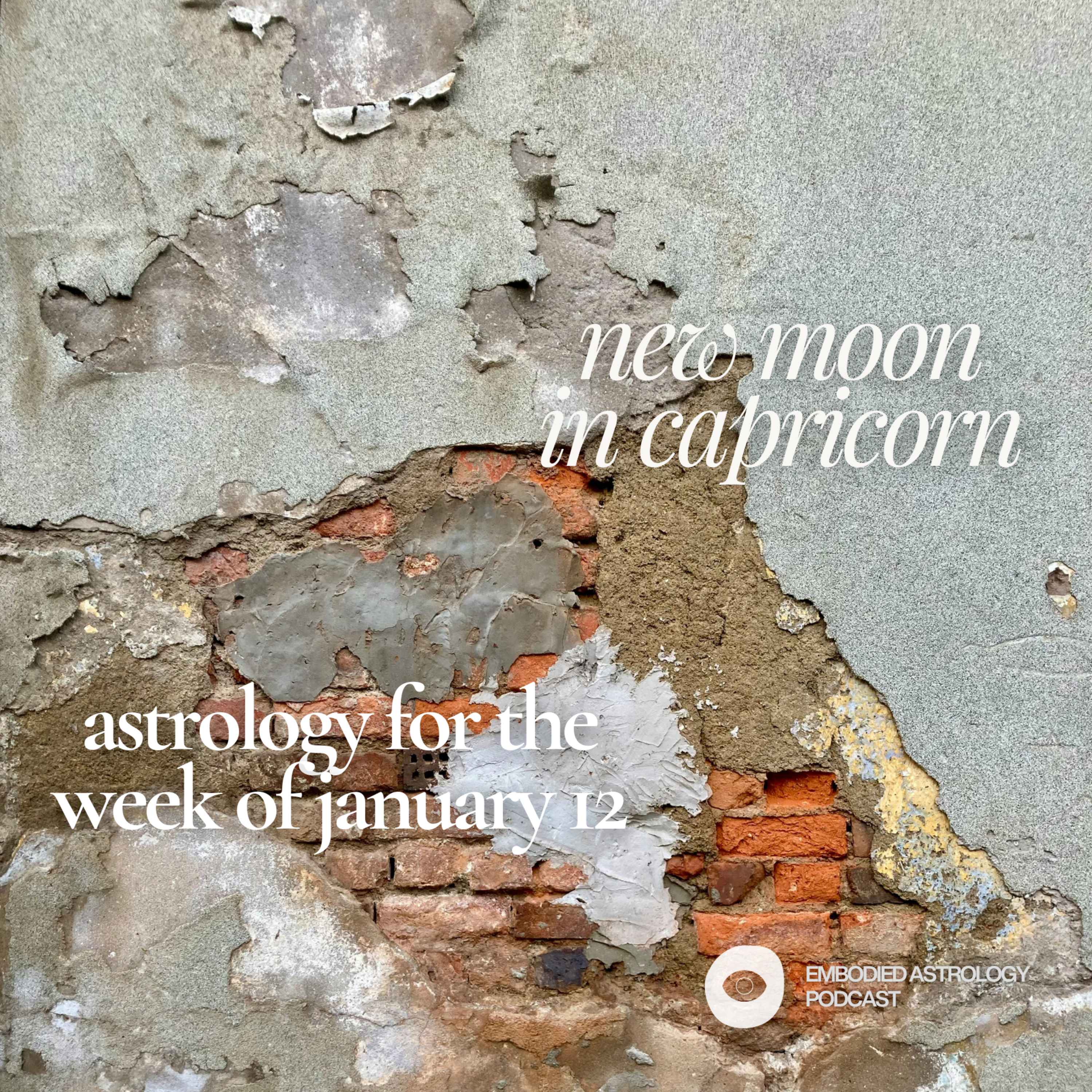 New Moon in Capricorn: Astrology for the Week of Jan 12, 2026